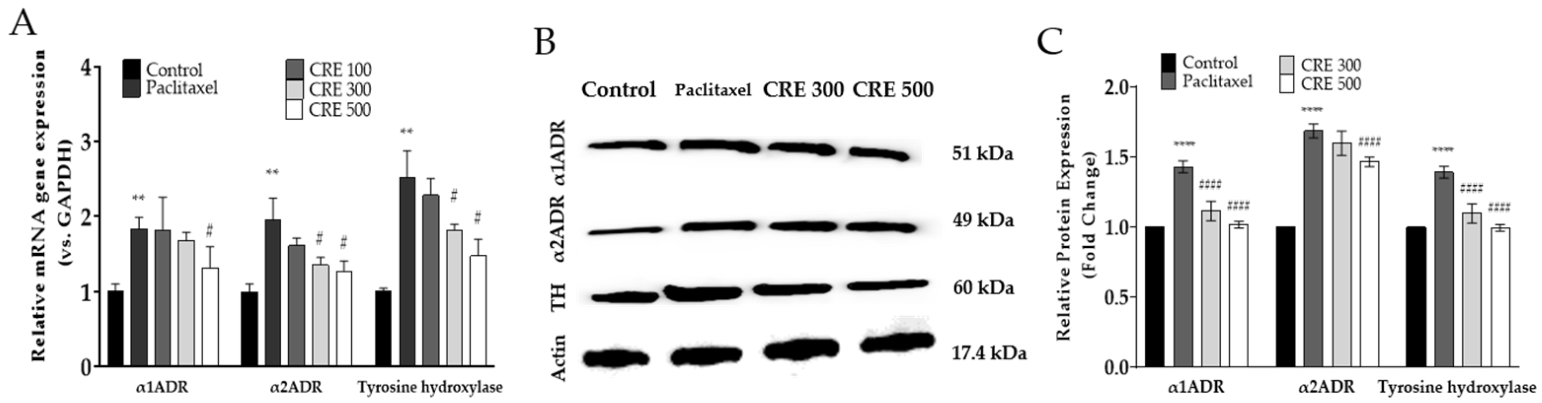 Metabolites 14 00719 g002