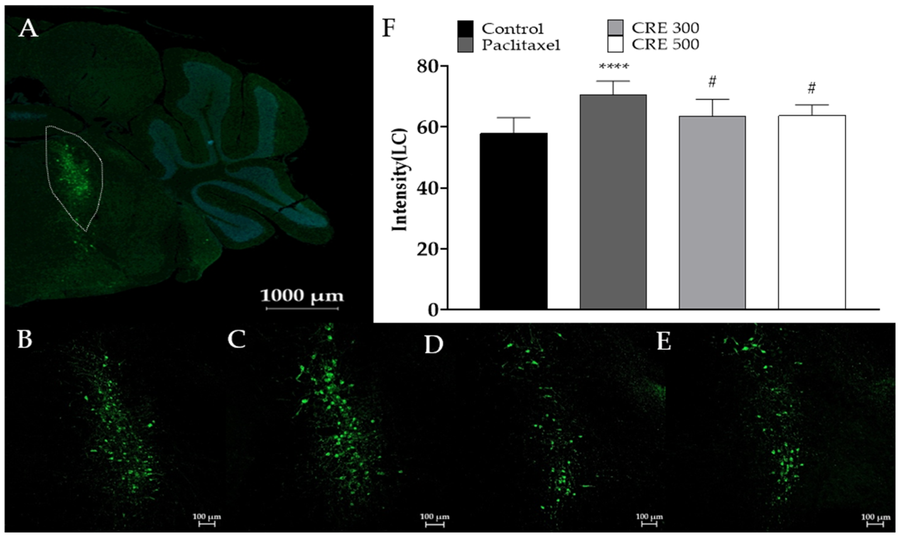 Metabolites 14 00719 g003
