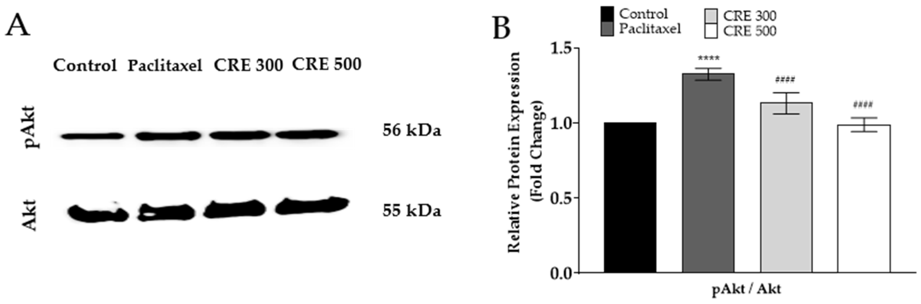 Metabolites 14 00719 g006