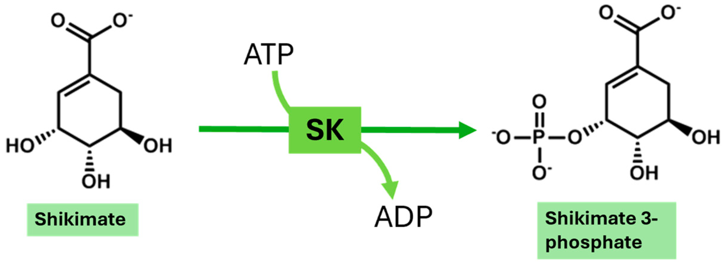 Metabolites 14 00727 g002