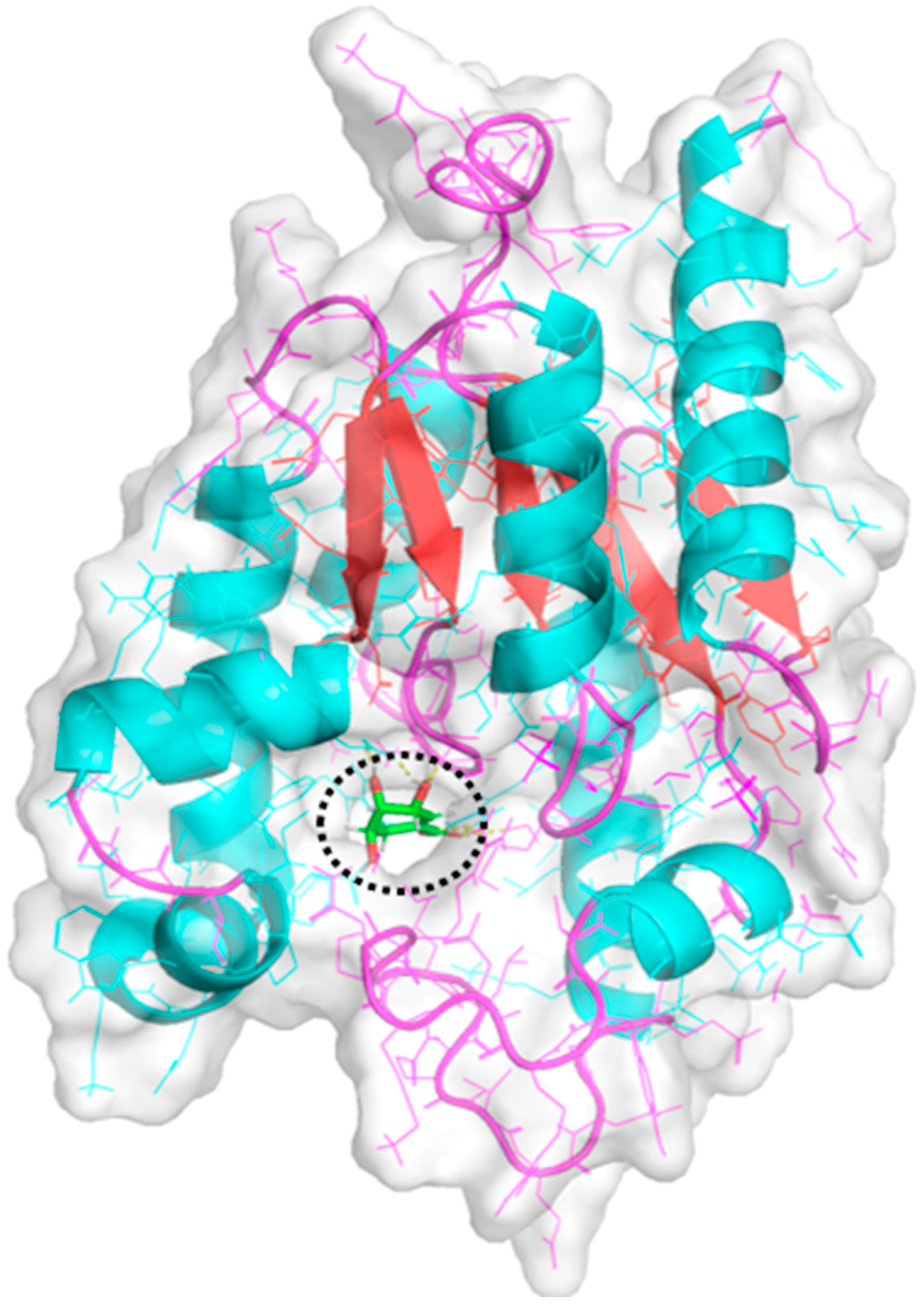 Metabolites 14 00727 g003