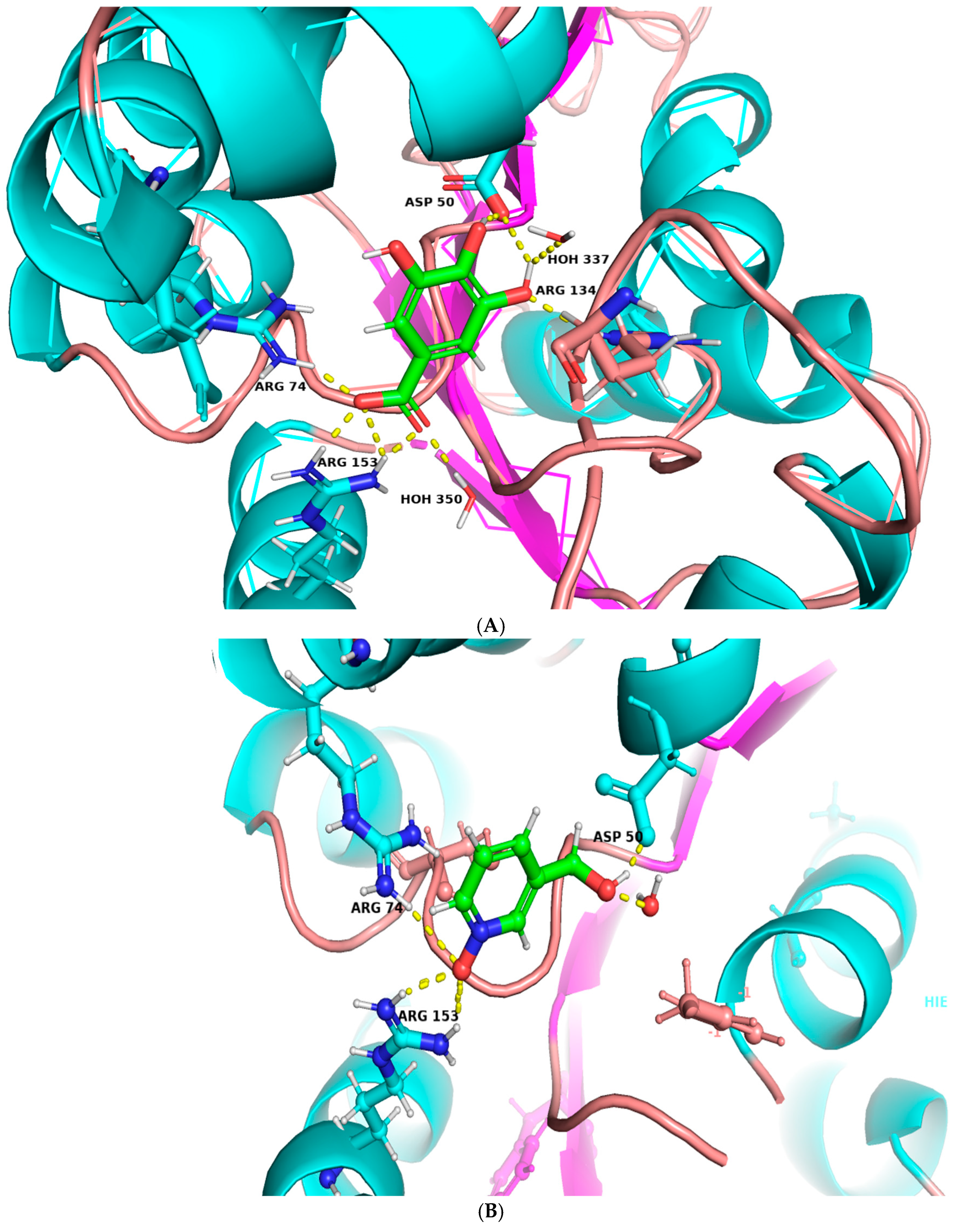 Metabolites 14 00727 g008a