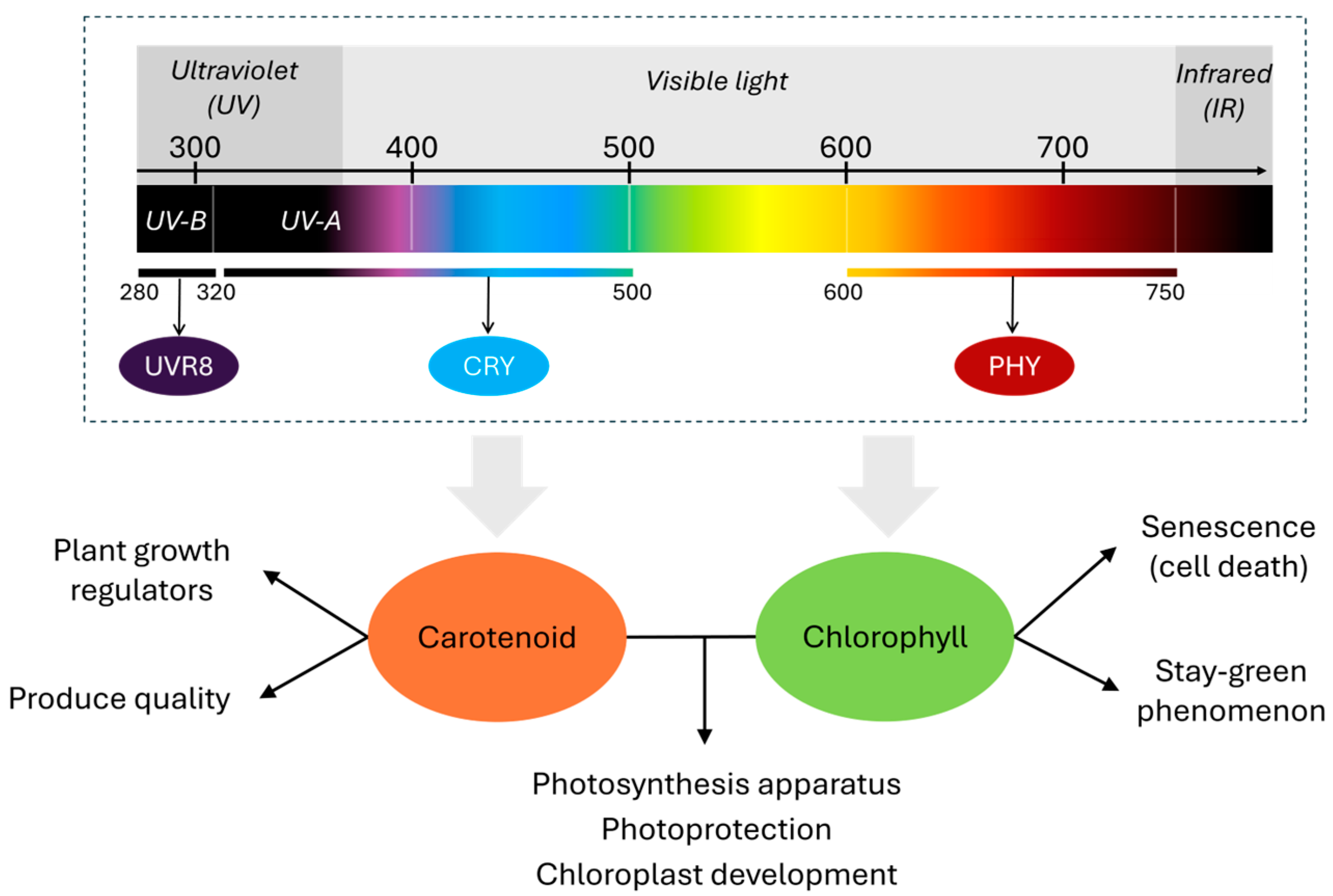 Metabolites 15 00001 g001