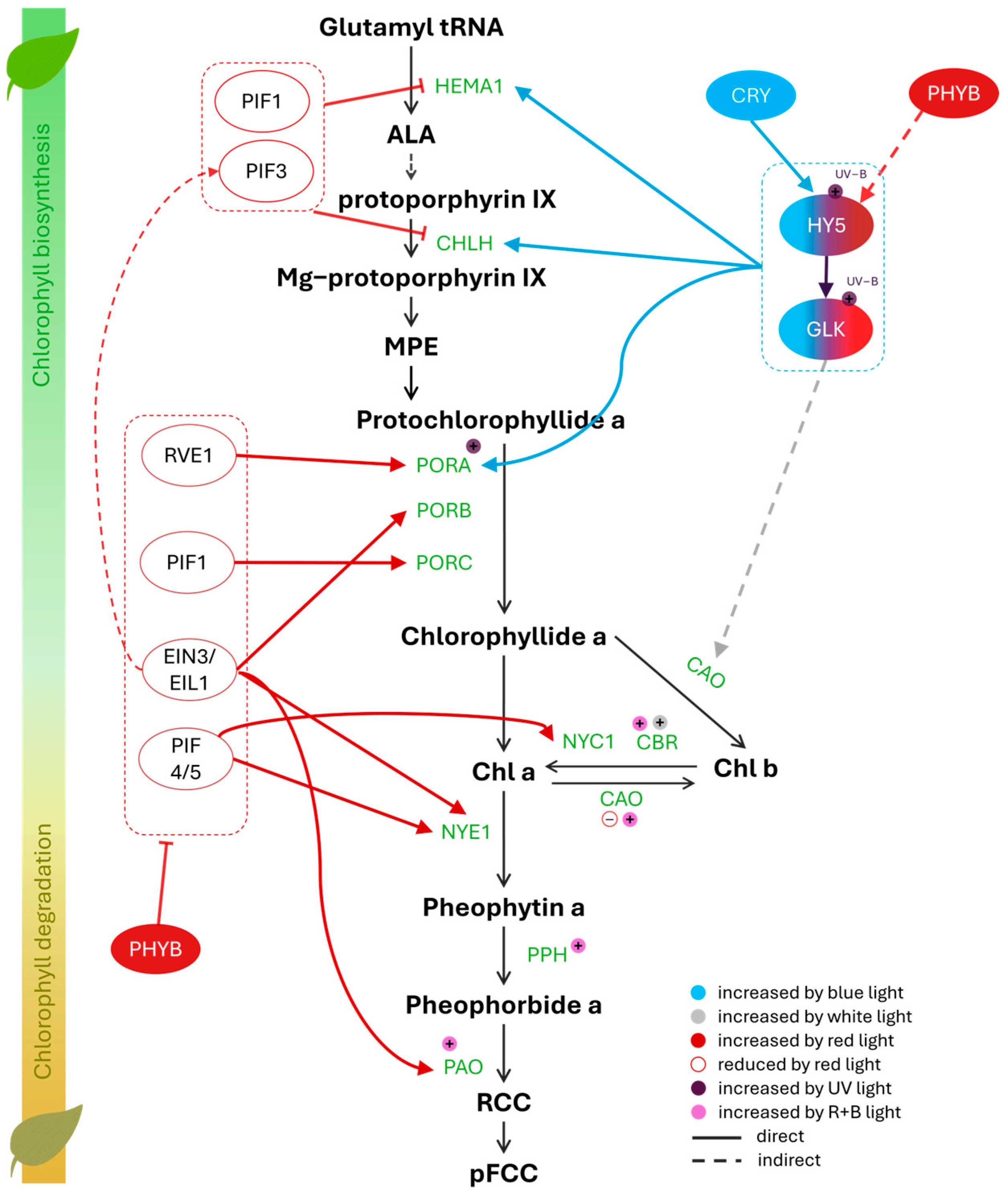 Metabolites 15 00001 g002