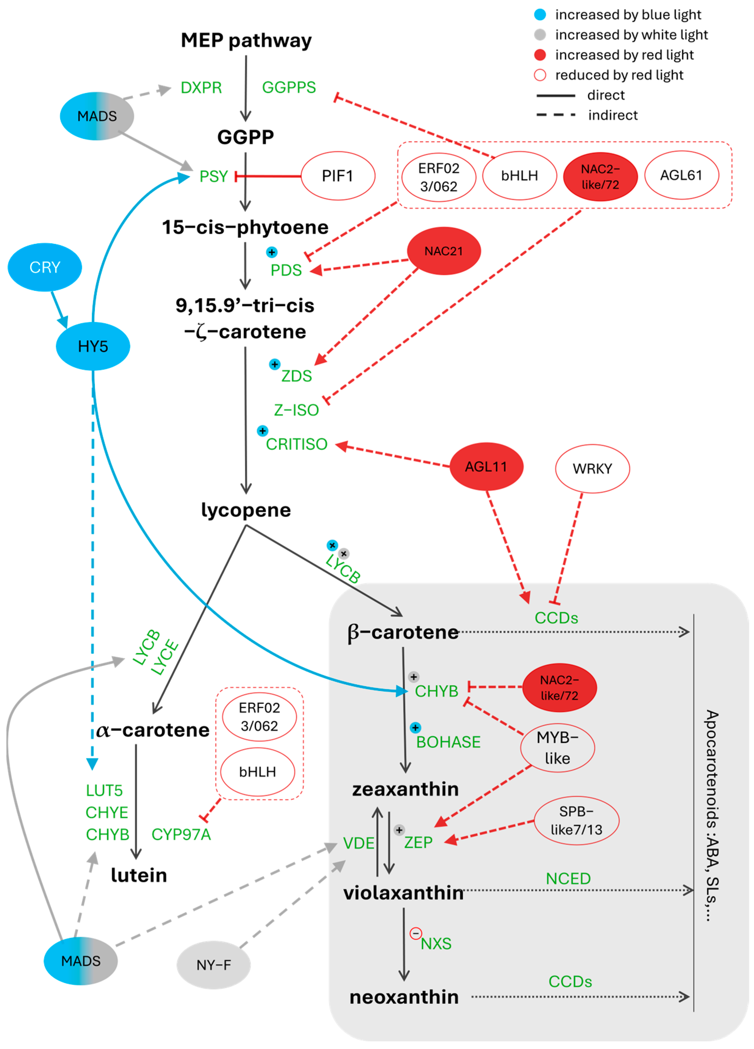 Metabolites 15 00001 g003