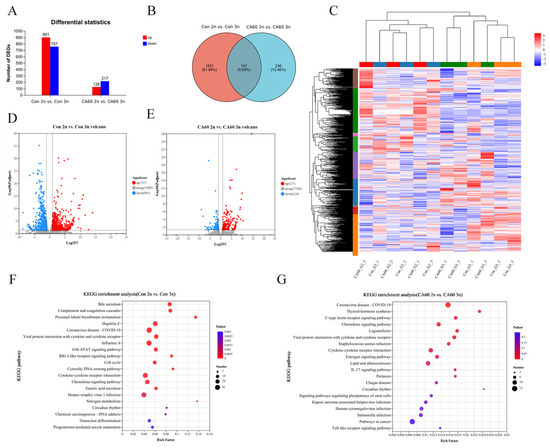 Exploring Disparities in Gill Physiological Responses to Exploring Disparities in Gill Physiological Responses to