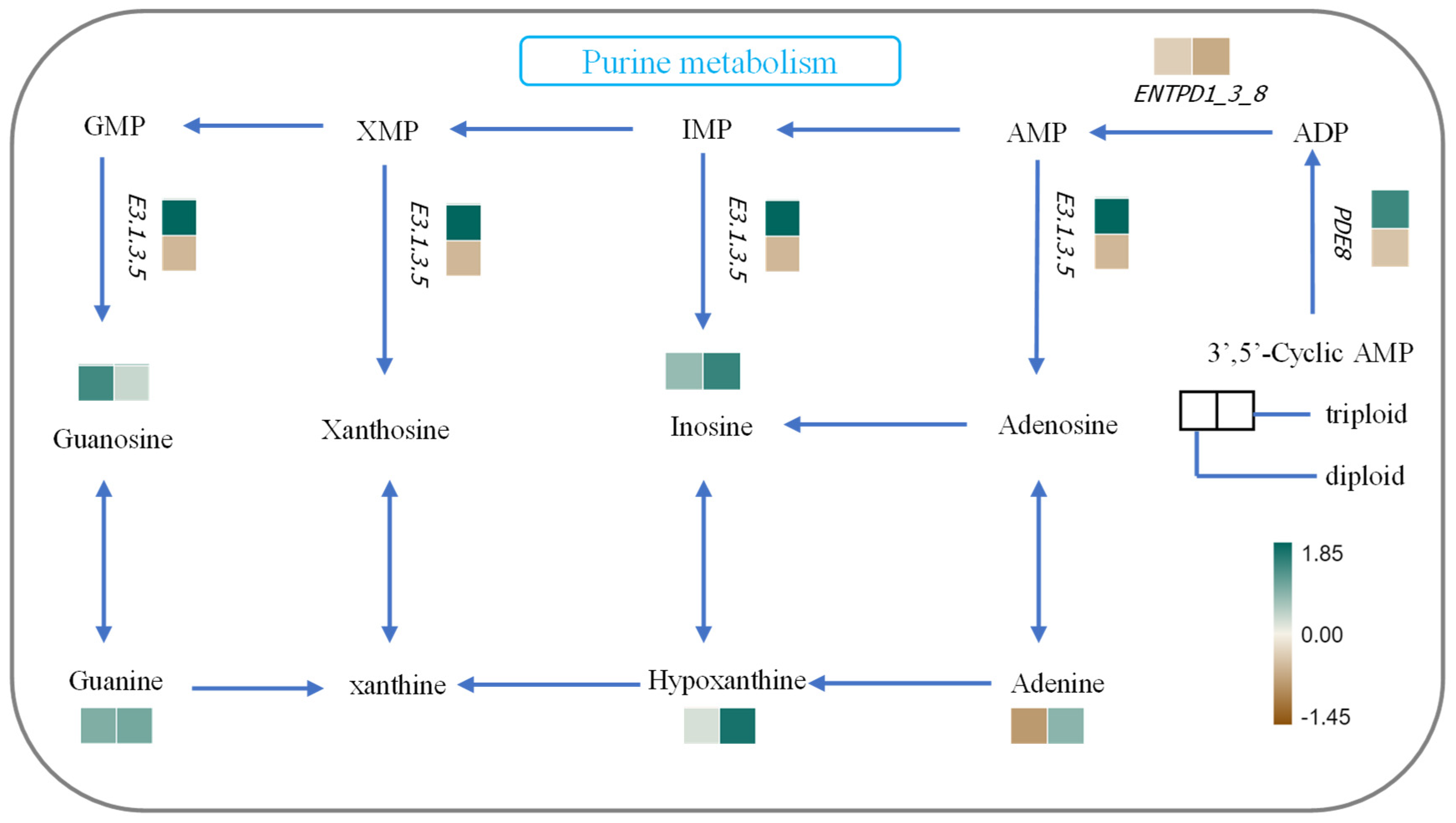 Metabolites 15 00005 g006