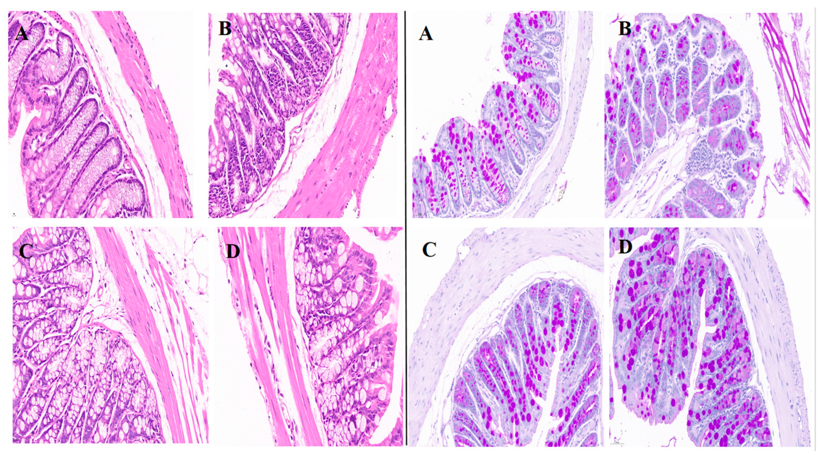 Metabolites 15 00008 g008 Metabolites 15 00008 g008