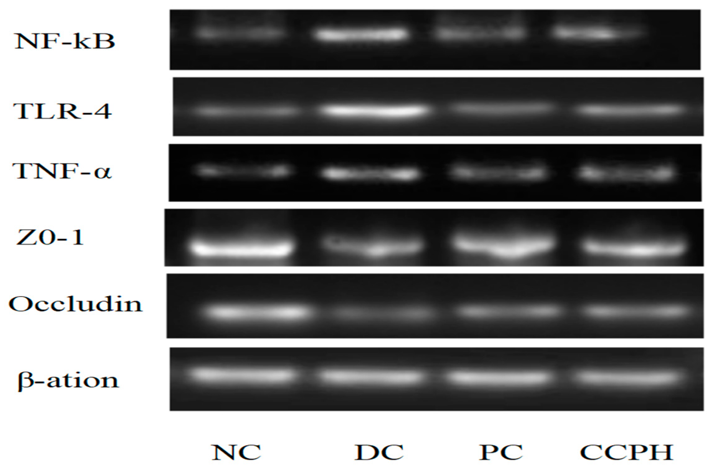 Metabolites 15 00008 g009 Metabolites 15 00008 g009