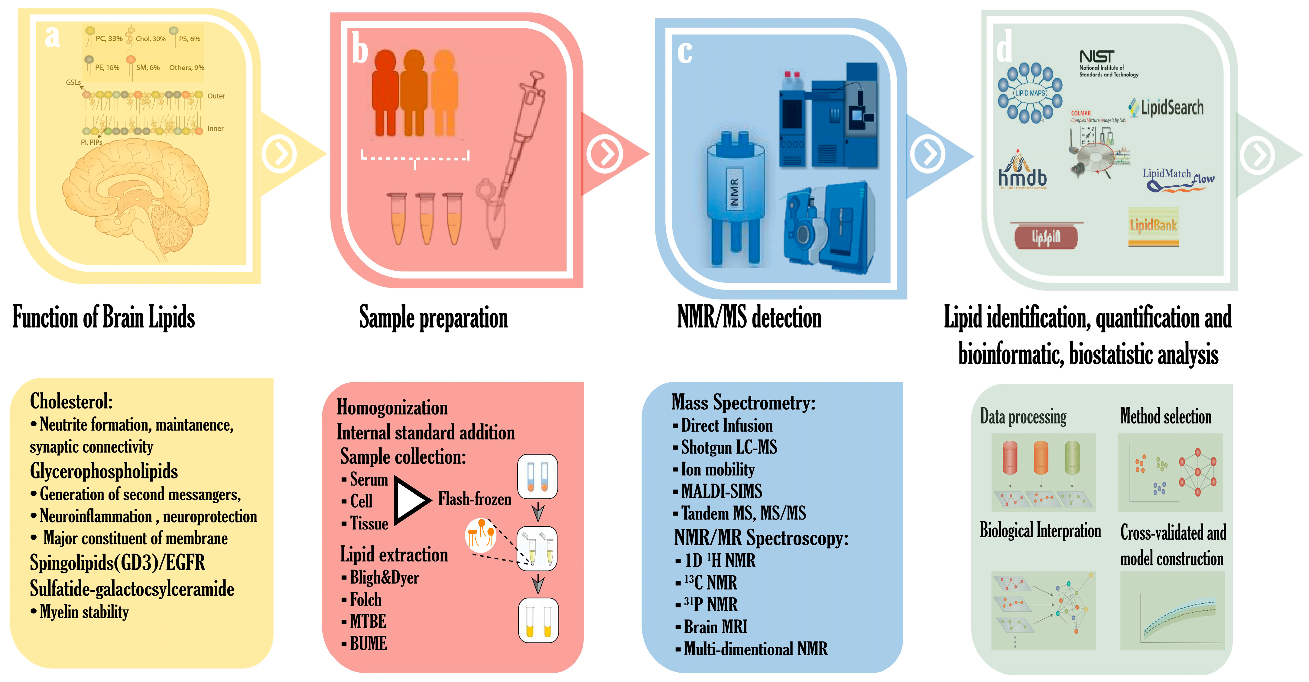 Metabolites 15 00010 g001 Metabolites 15 00010 g001