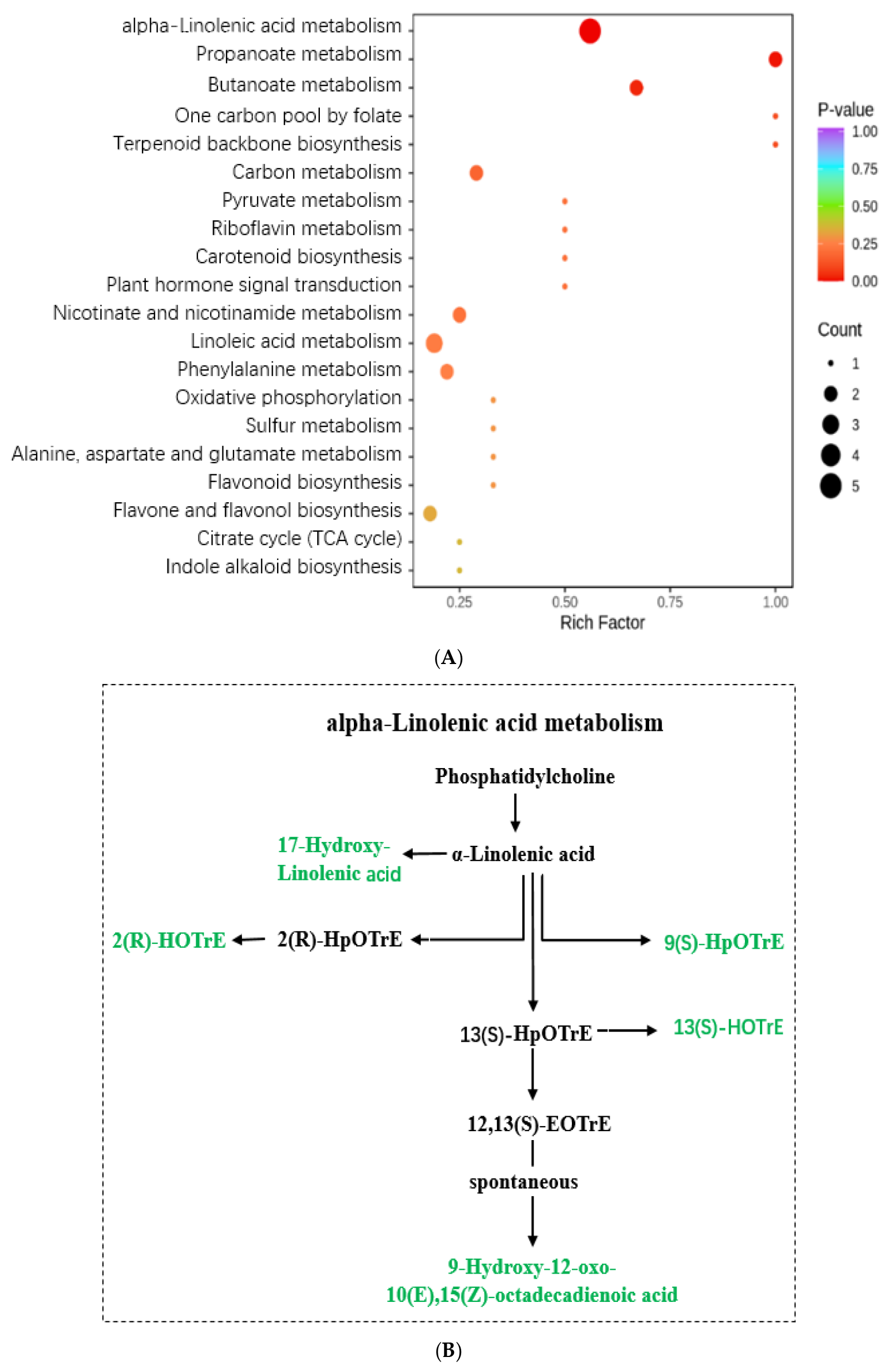 Metabolites 15 00019 g004a