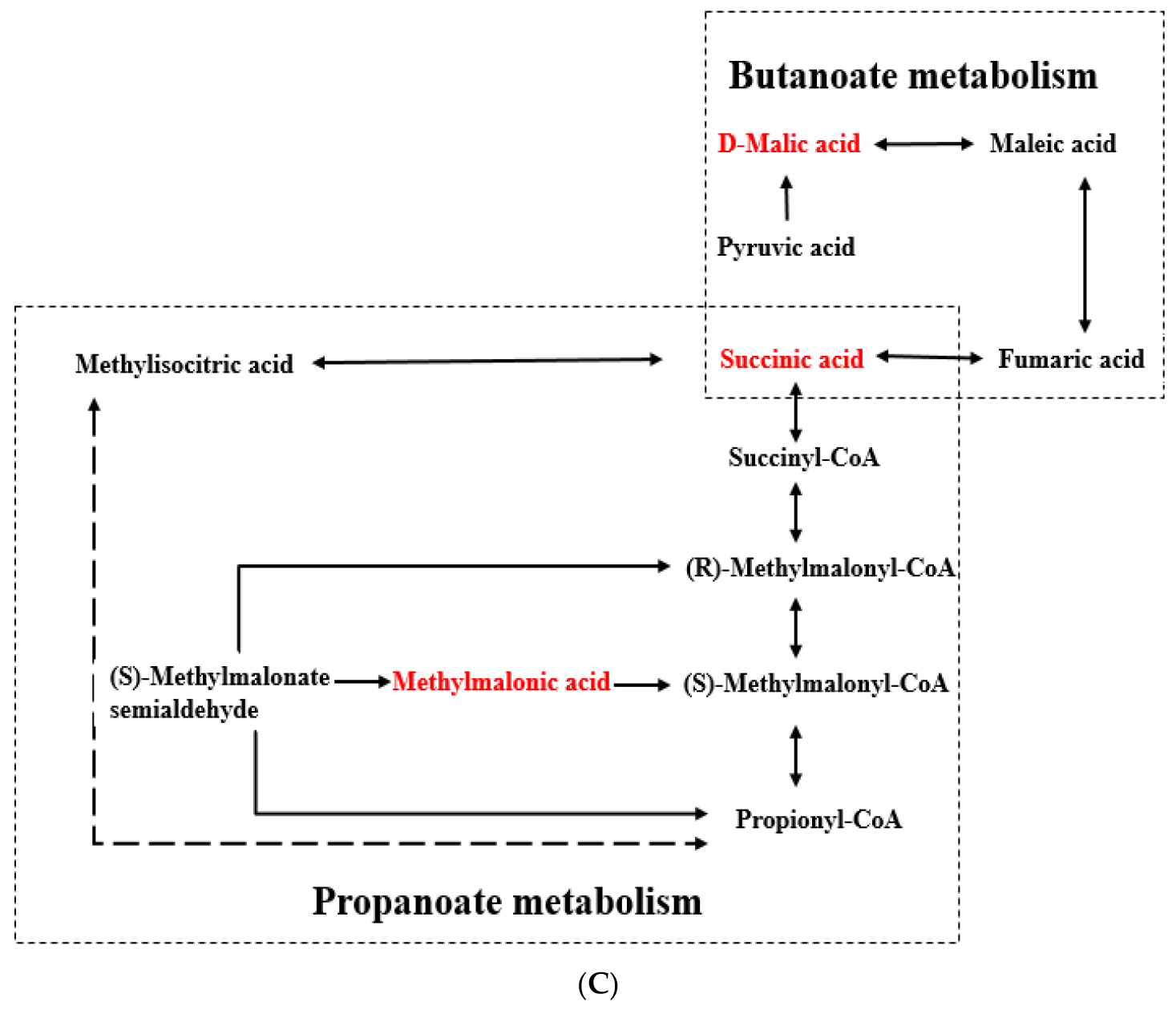 Metabolites 15 00019 g004b