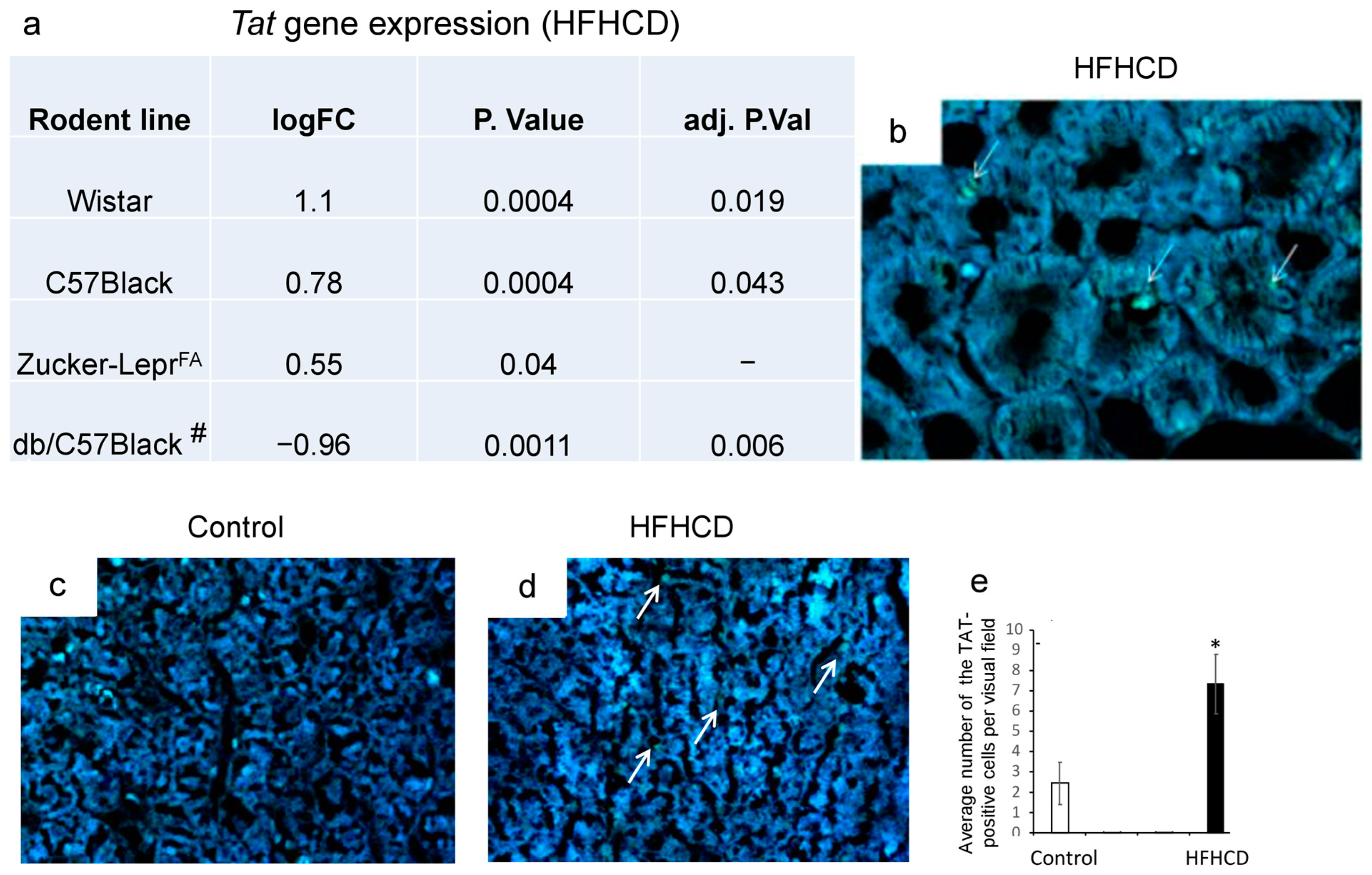 Metabolites 15 00021 g002 Metabolites 15 00021 g002