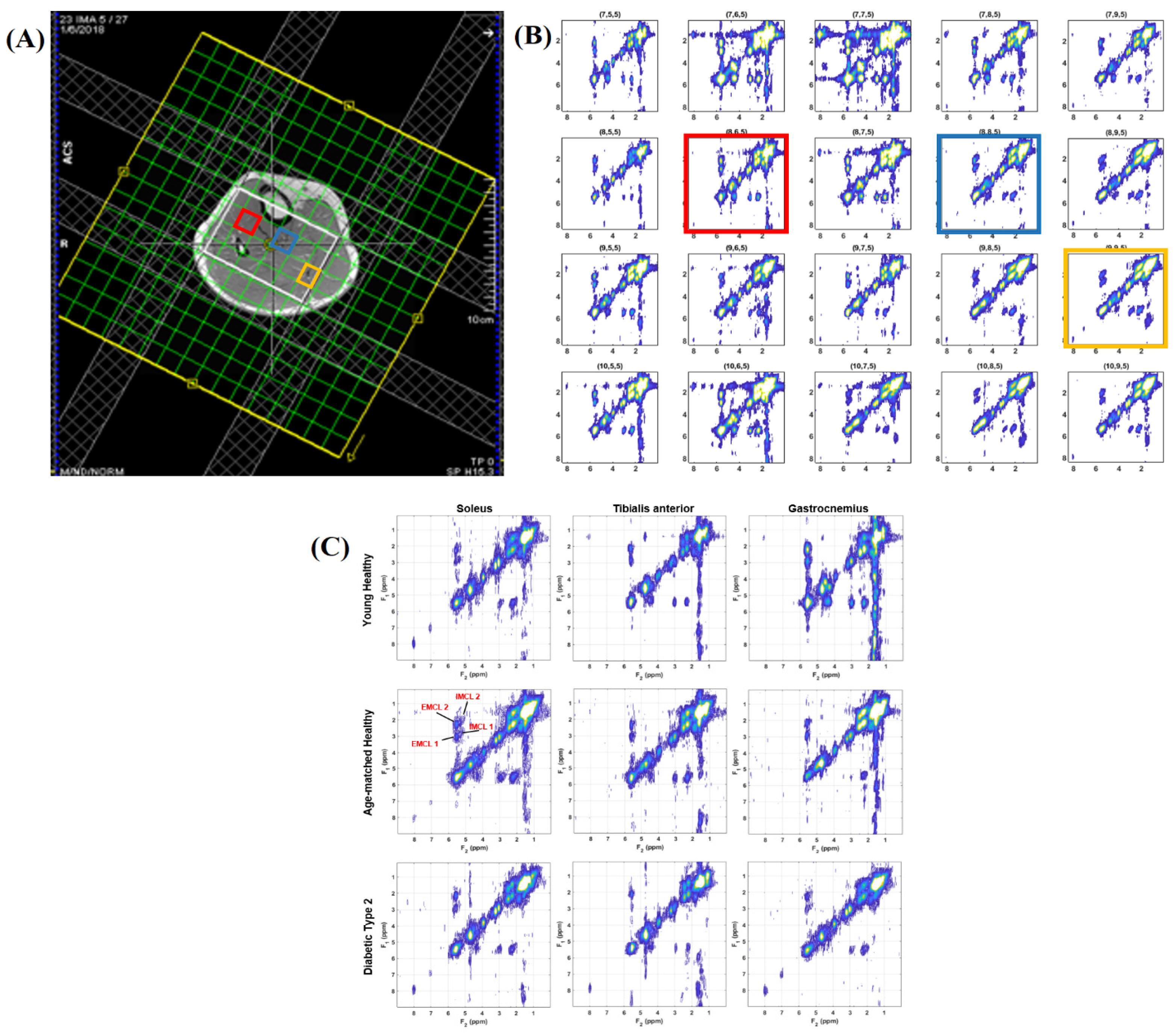 Metabolites 15 00025 g001 Metabolites 15 00025 g001