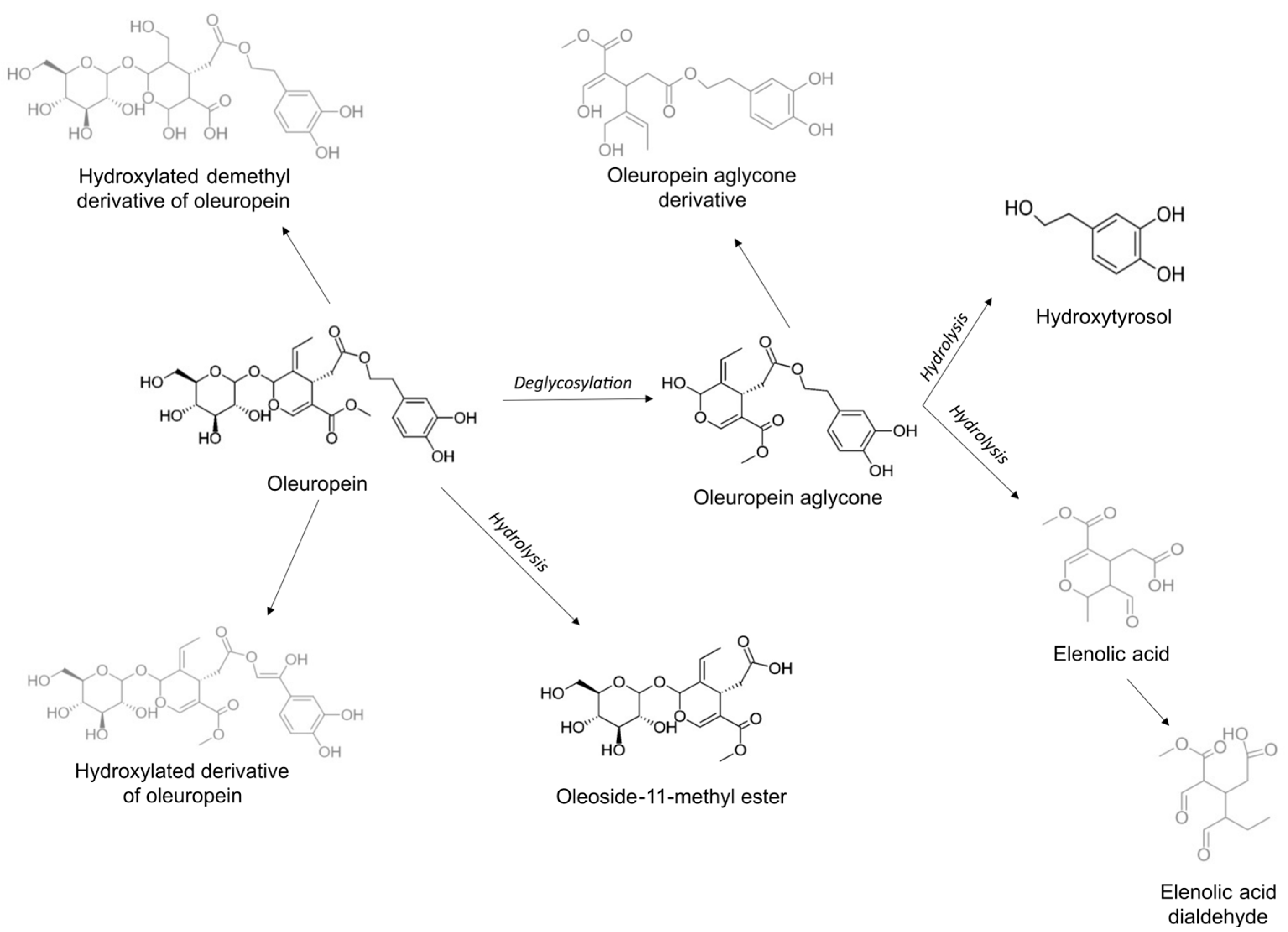 Metabolites 15 00026 g003