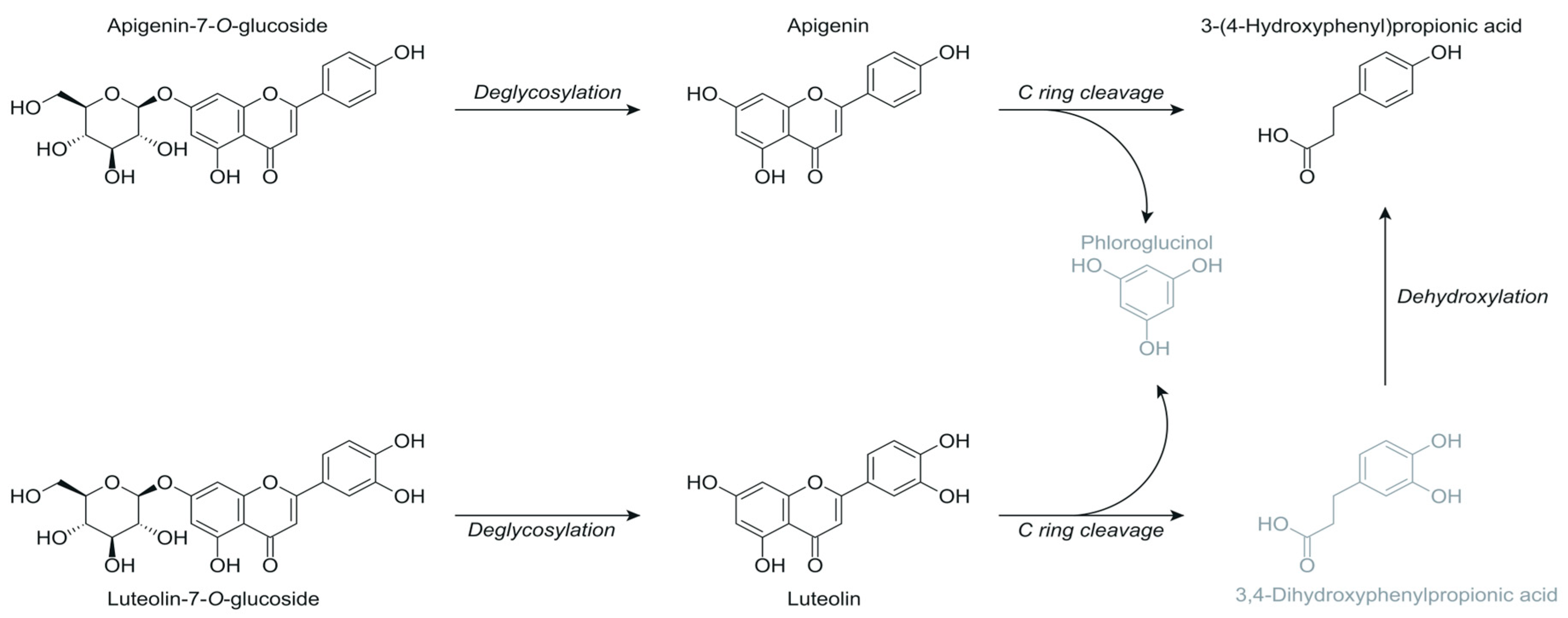 Metabolites 15 00026 g004