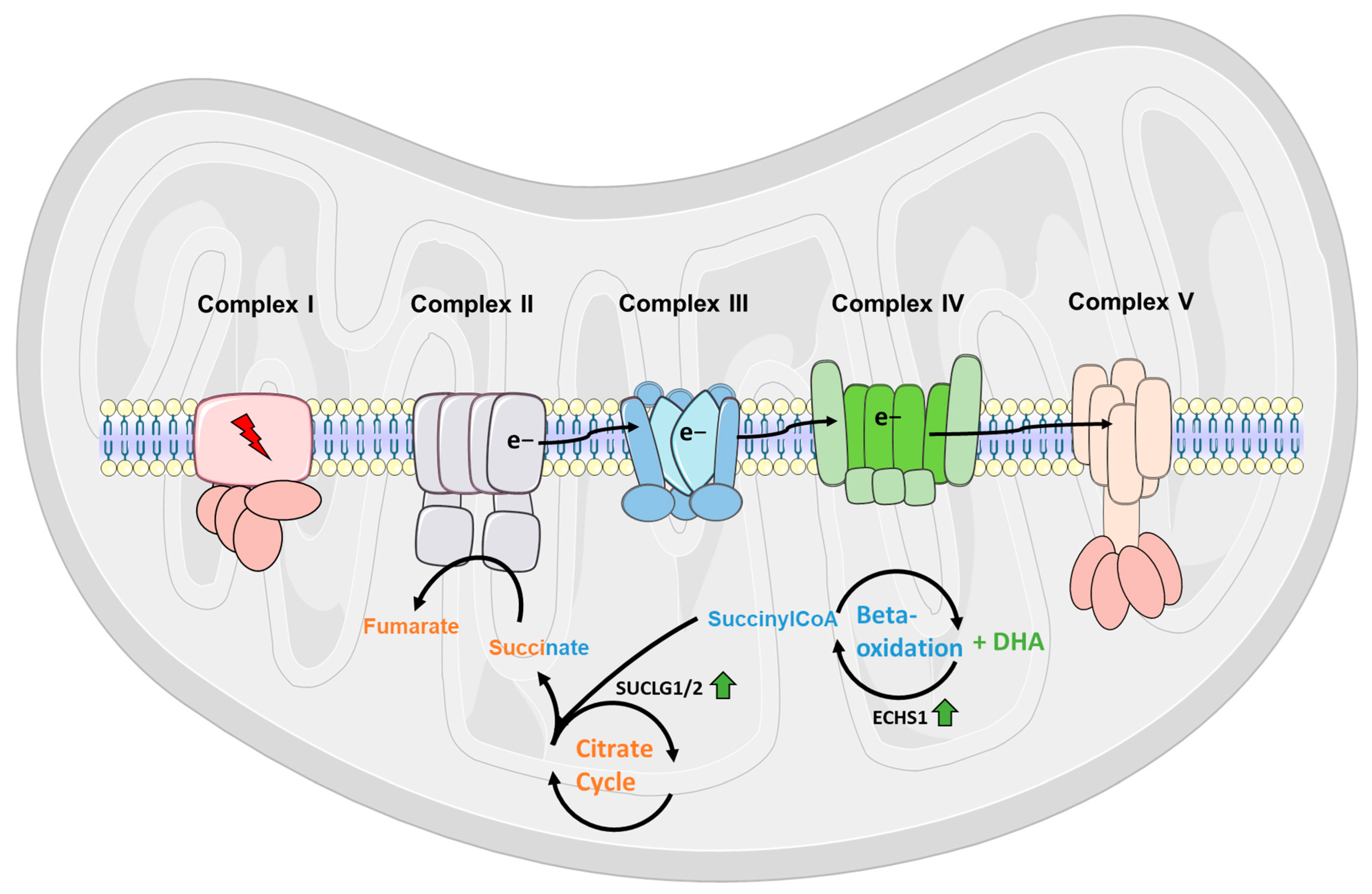 Metabolites 15 00029 g006