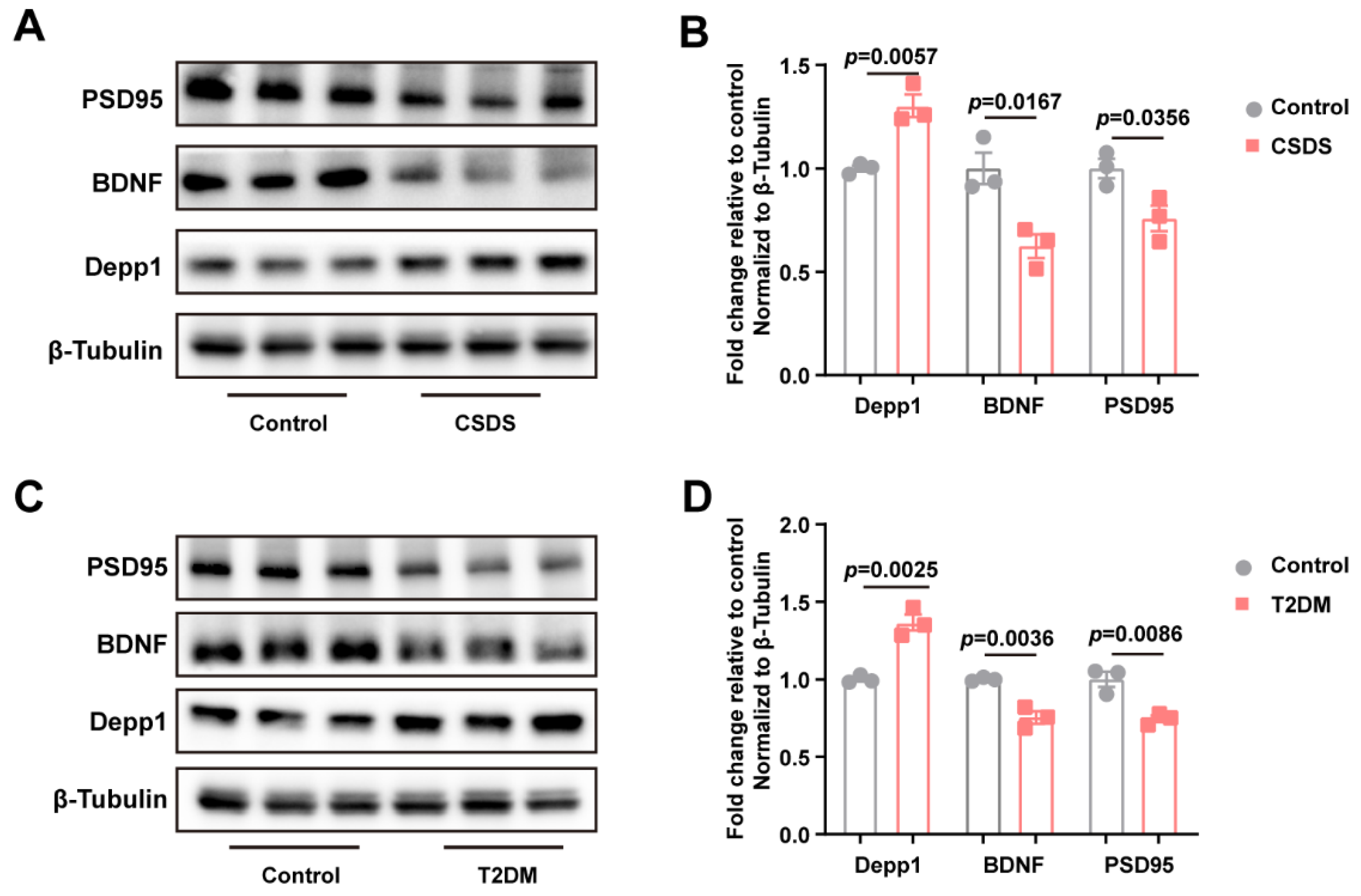 Metabolites 15 00034 g006