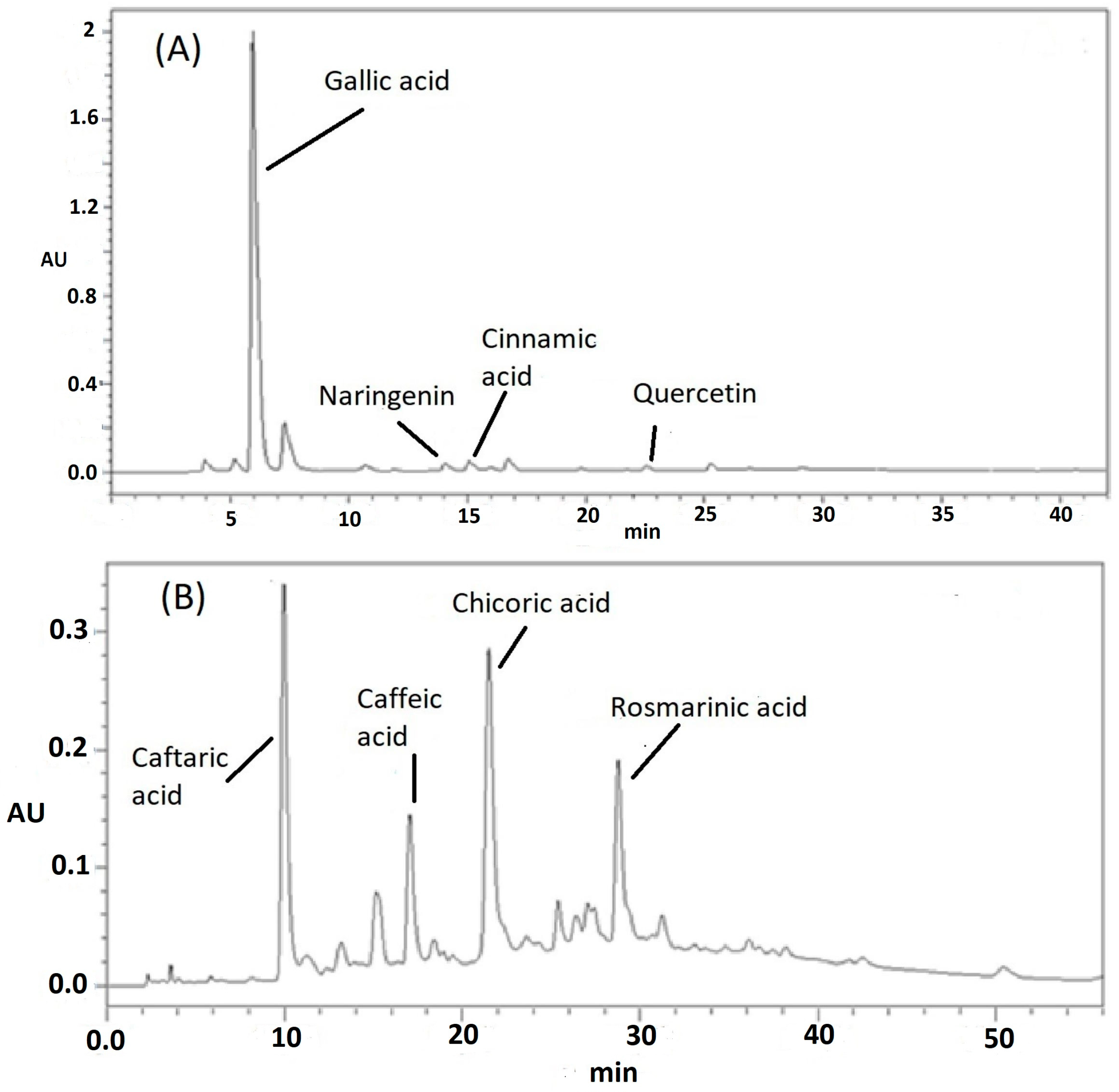 Metabolites 15 00036 g001