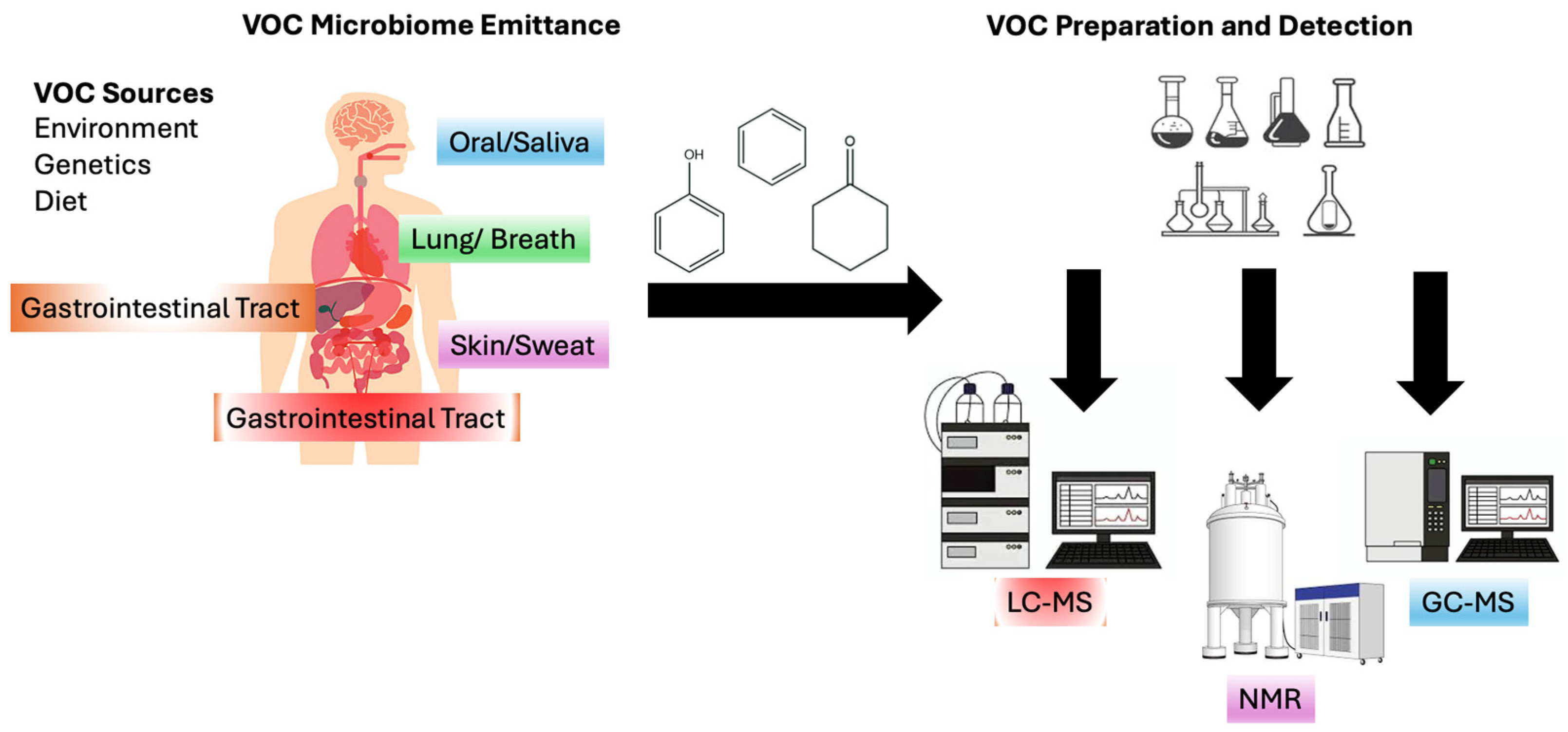 Metabolites 15 00037 g001