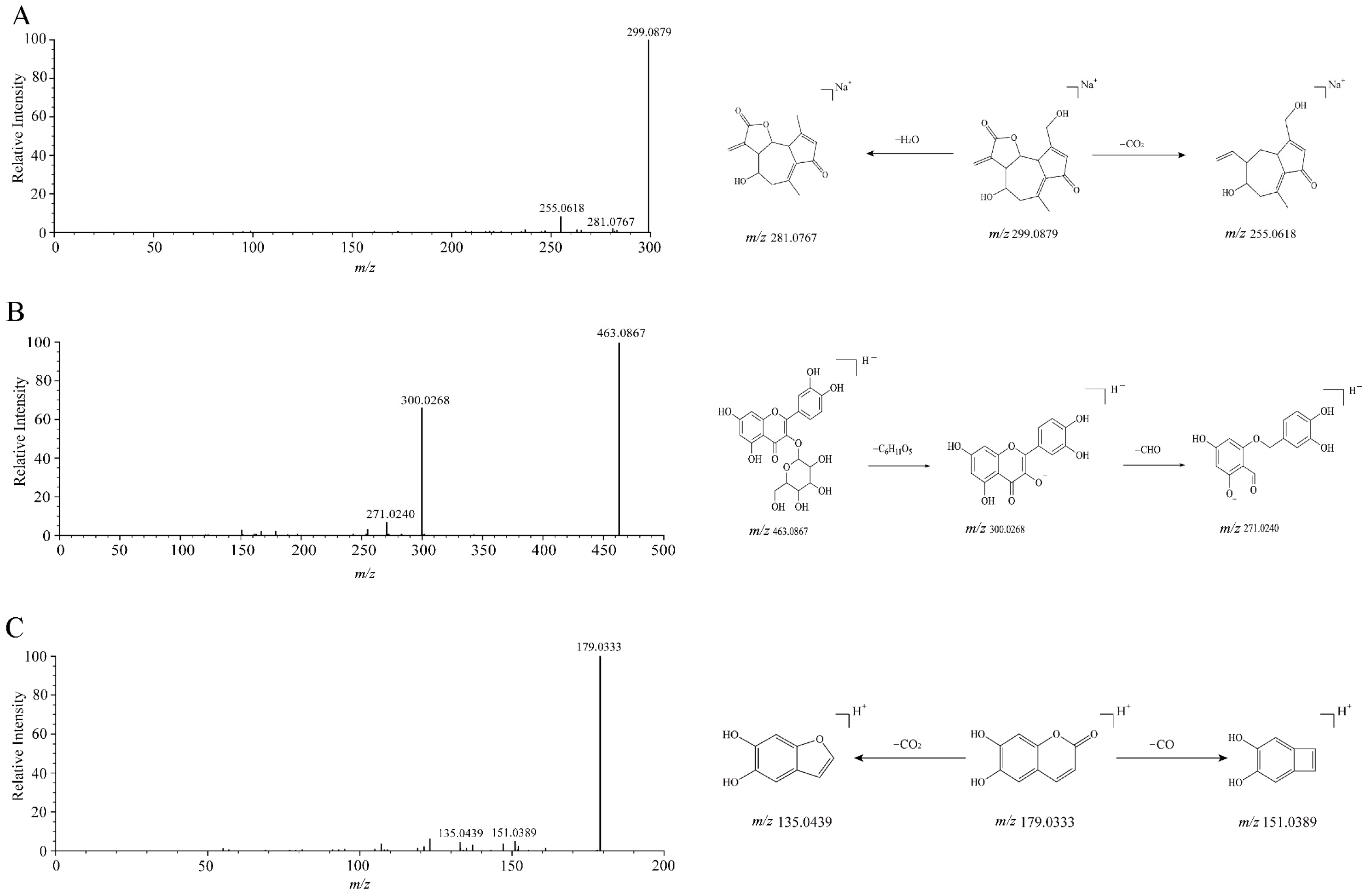 Metabolites 15 00041 g002
