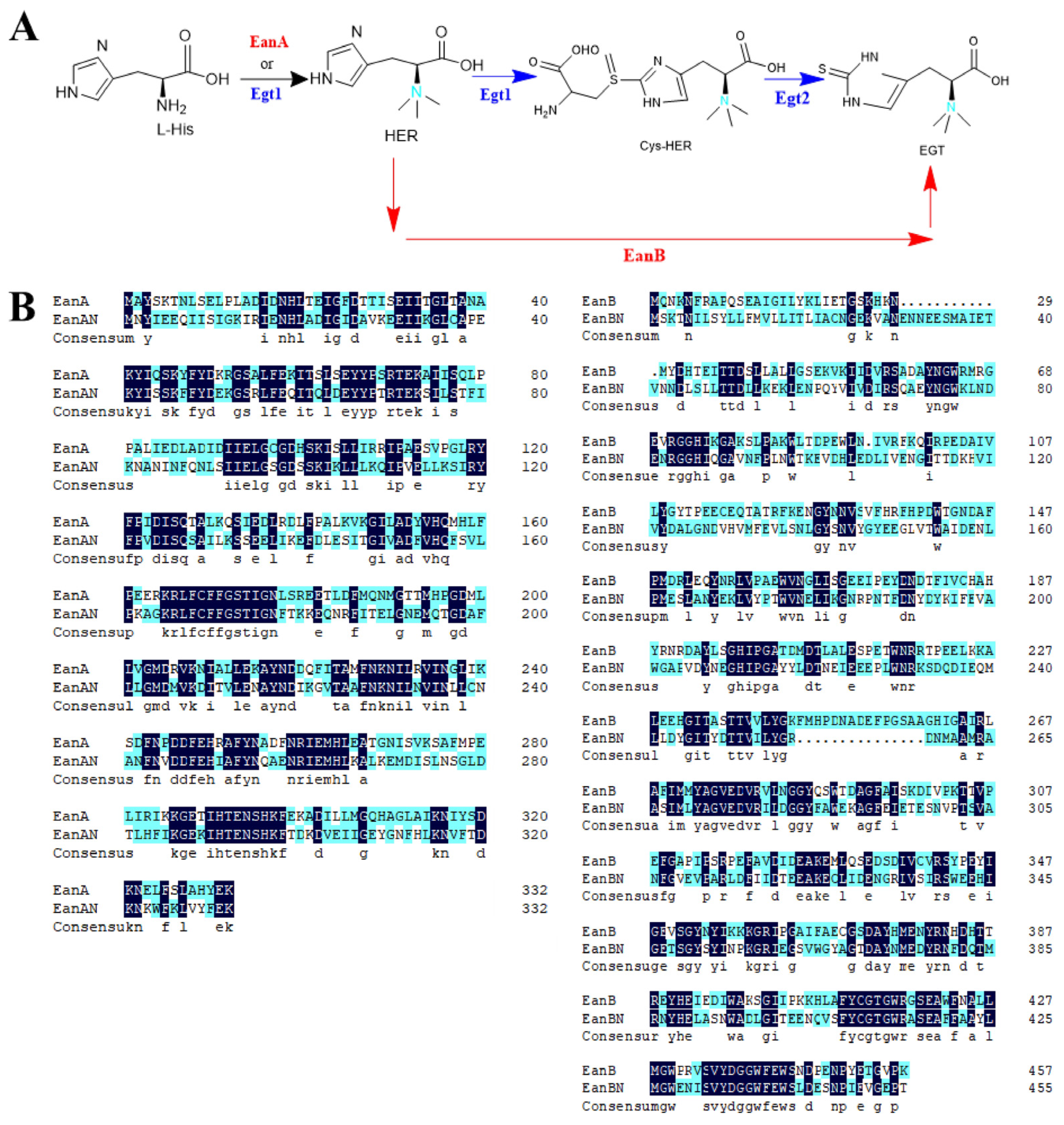 Metabolites 15 00045 g001