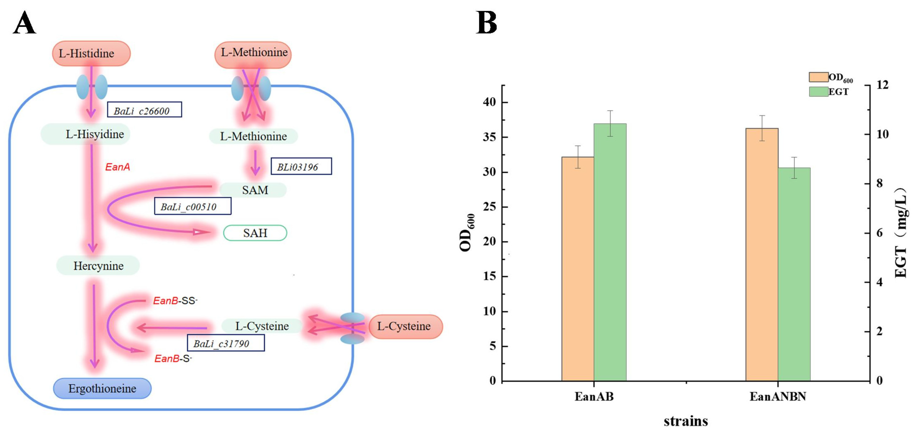 Metabolites 15 00045 g002