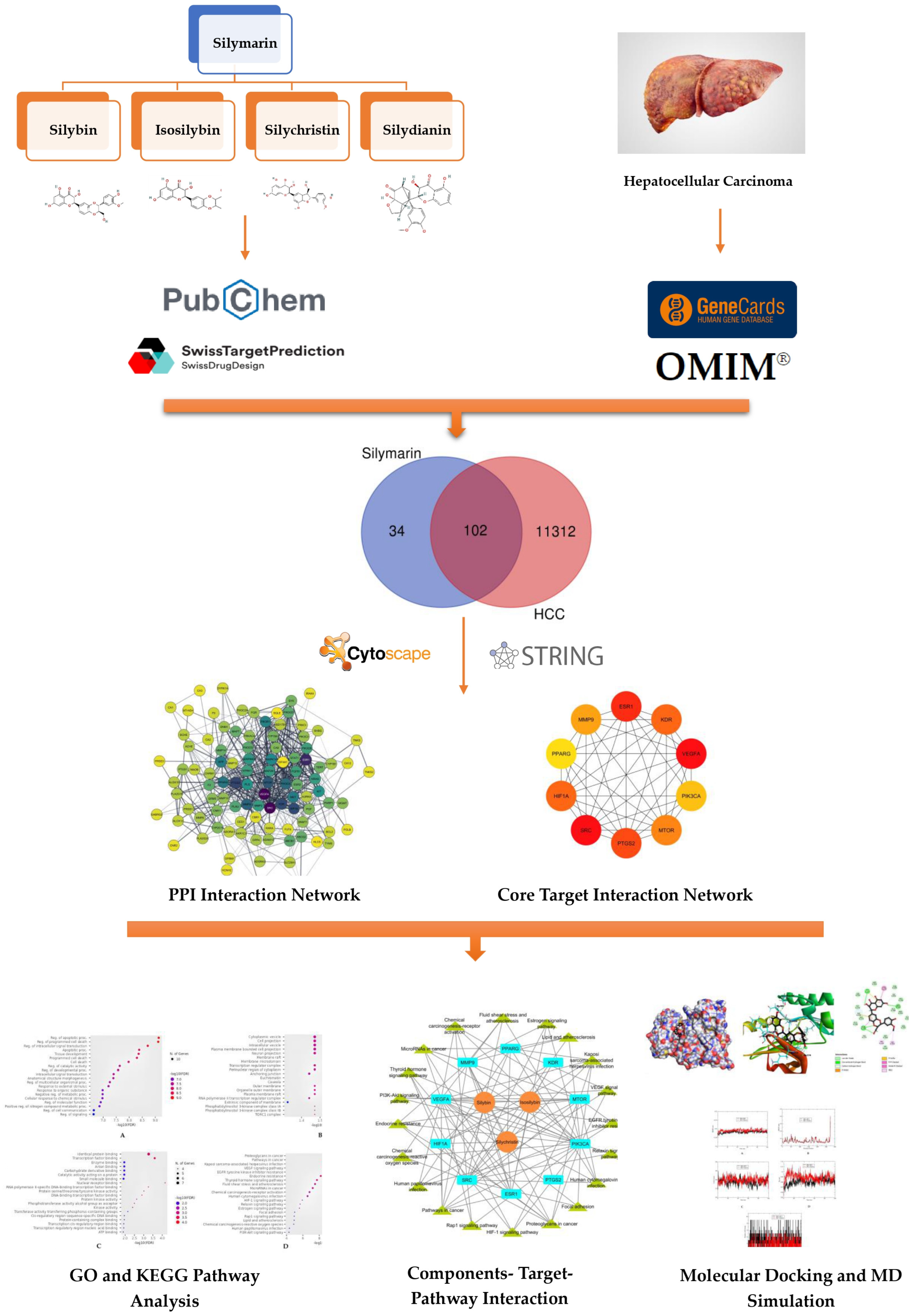 Metabolites 15 00053 g001