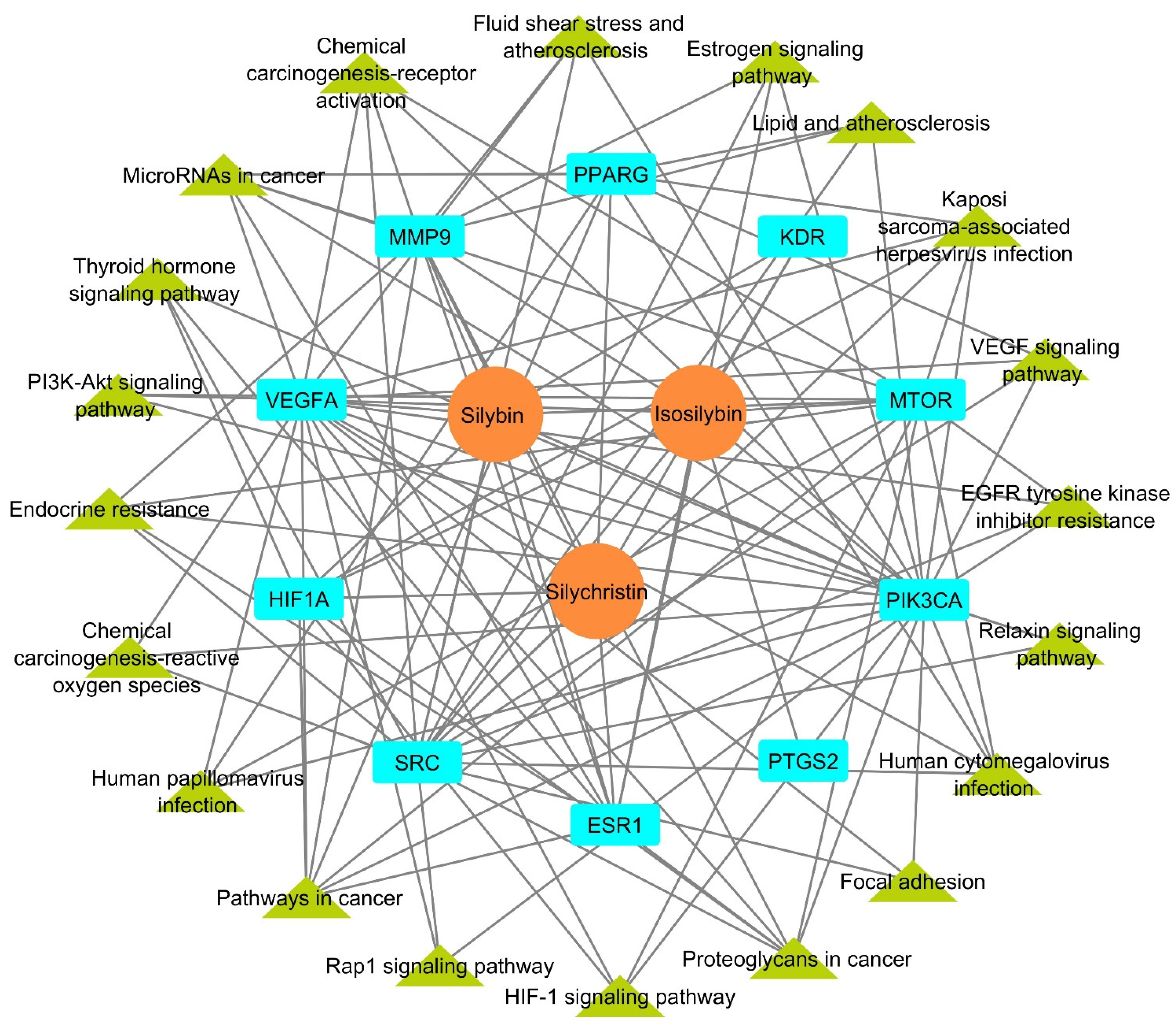 Metabolites 15 00053 g006