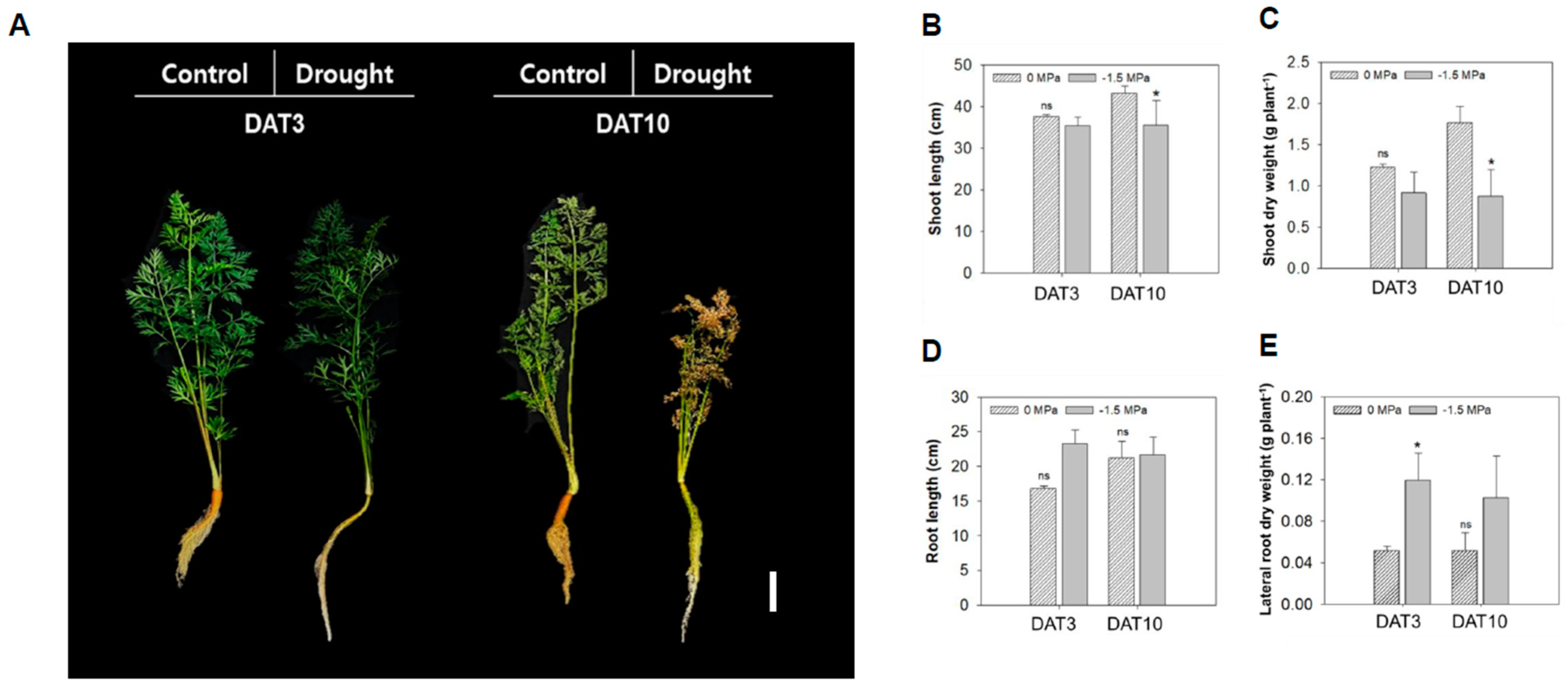 Metabolites 15 00056 g001