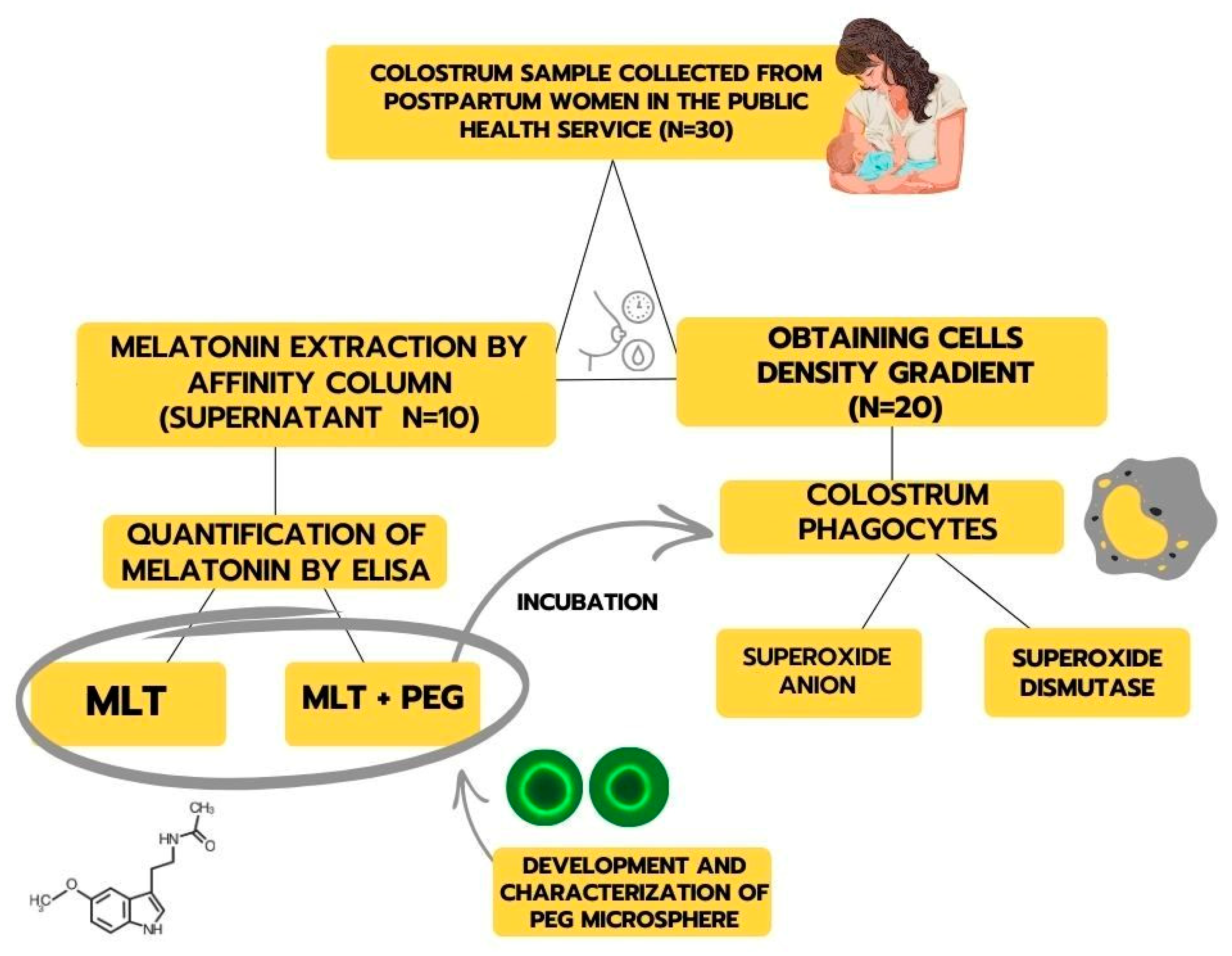 Metabolites 15 00057 g001 Metabolites 15 00057 g001