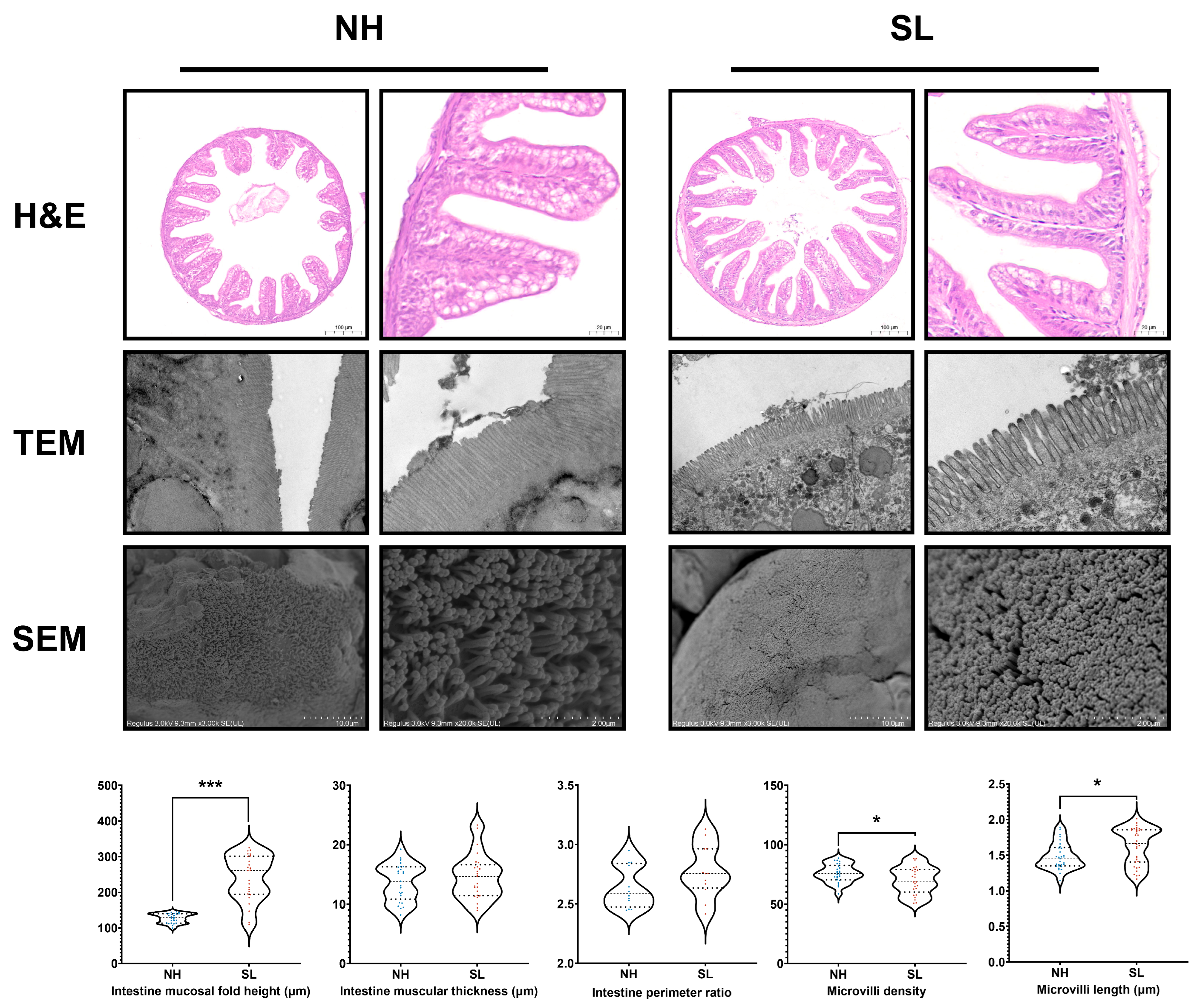 Metabolites 15 00063 g004