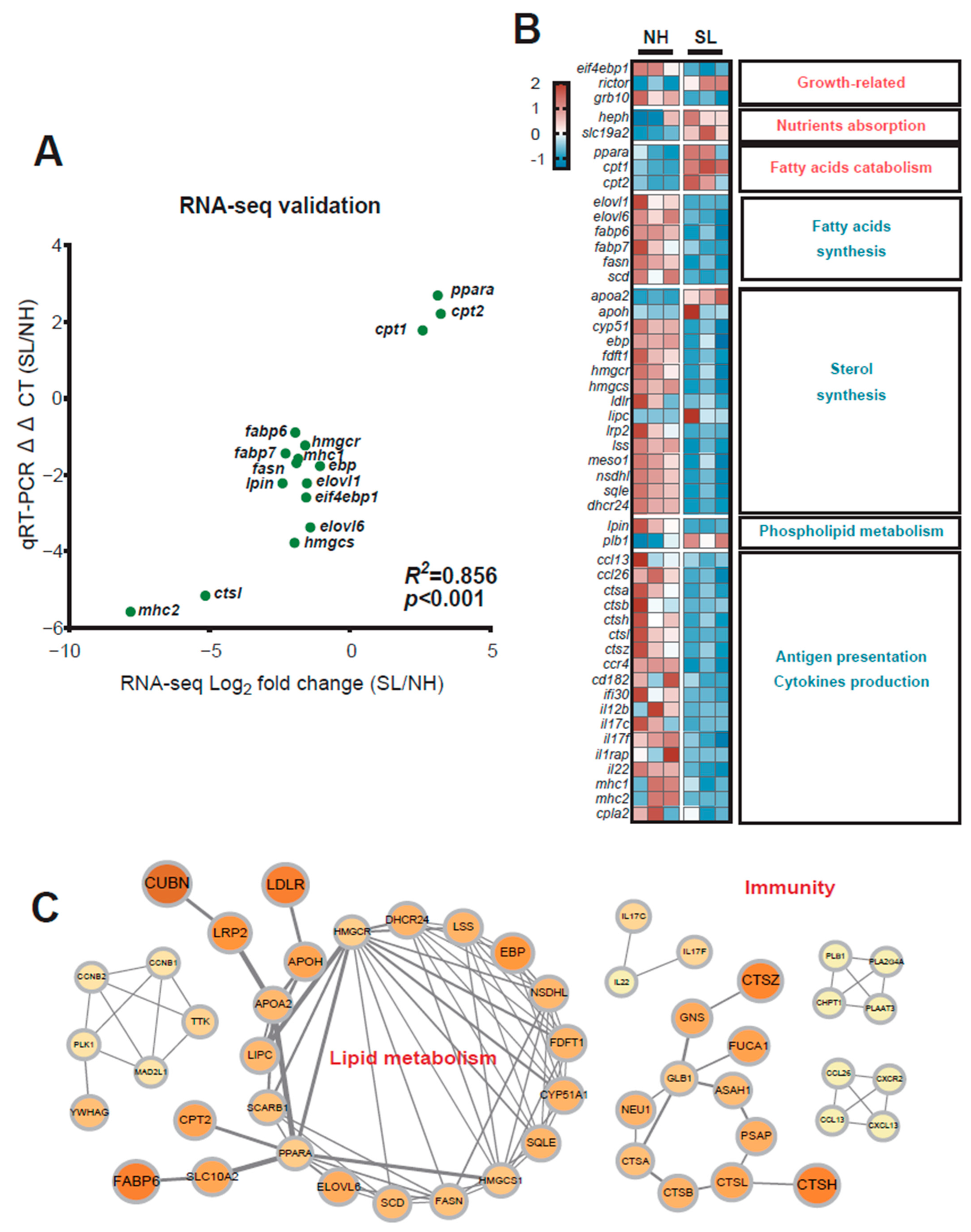 Metabolites 15 00063 g006
