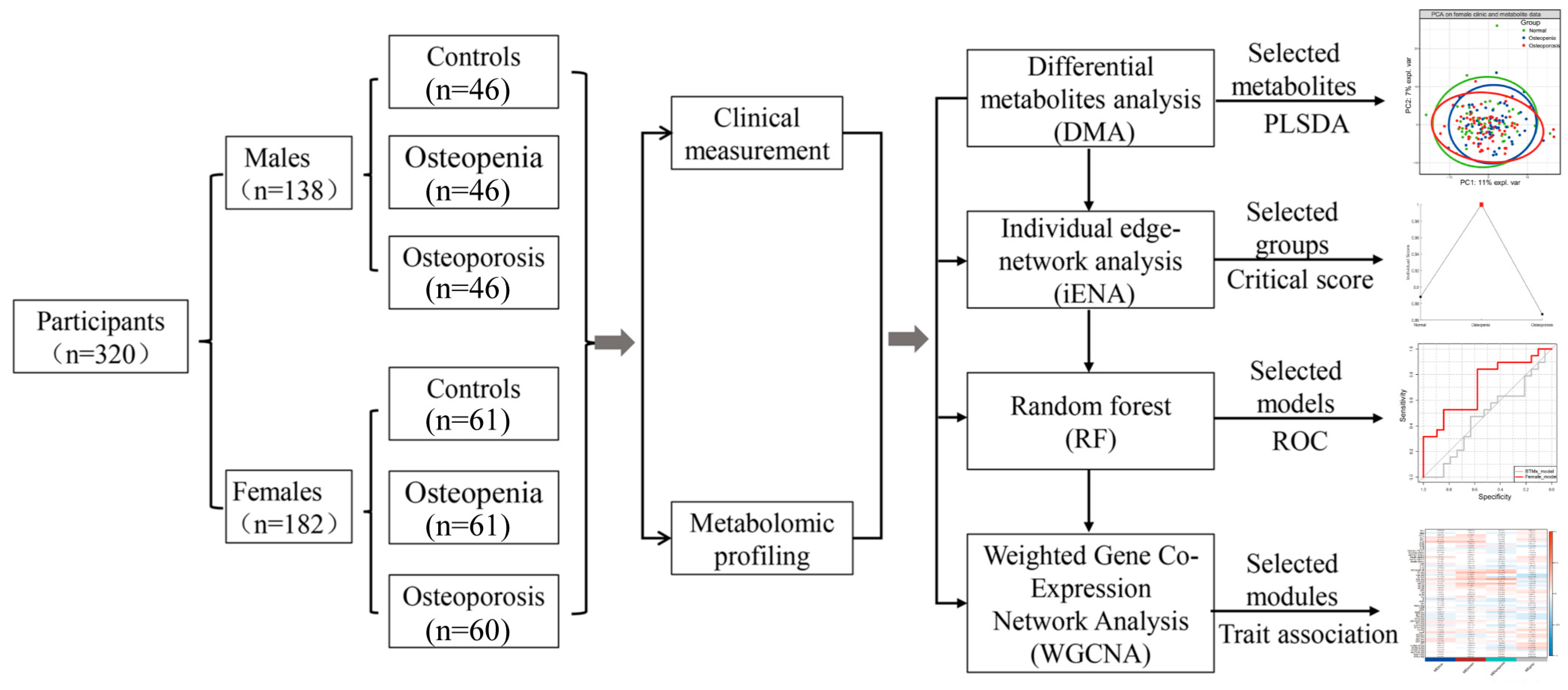Metabolites 15 00066 g001 Metabolites 15 00066 g001
