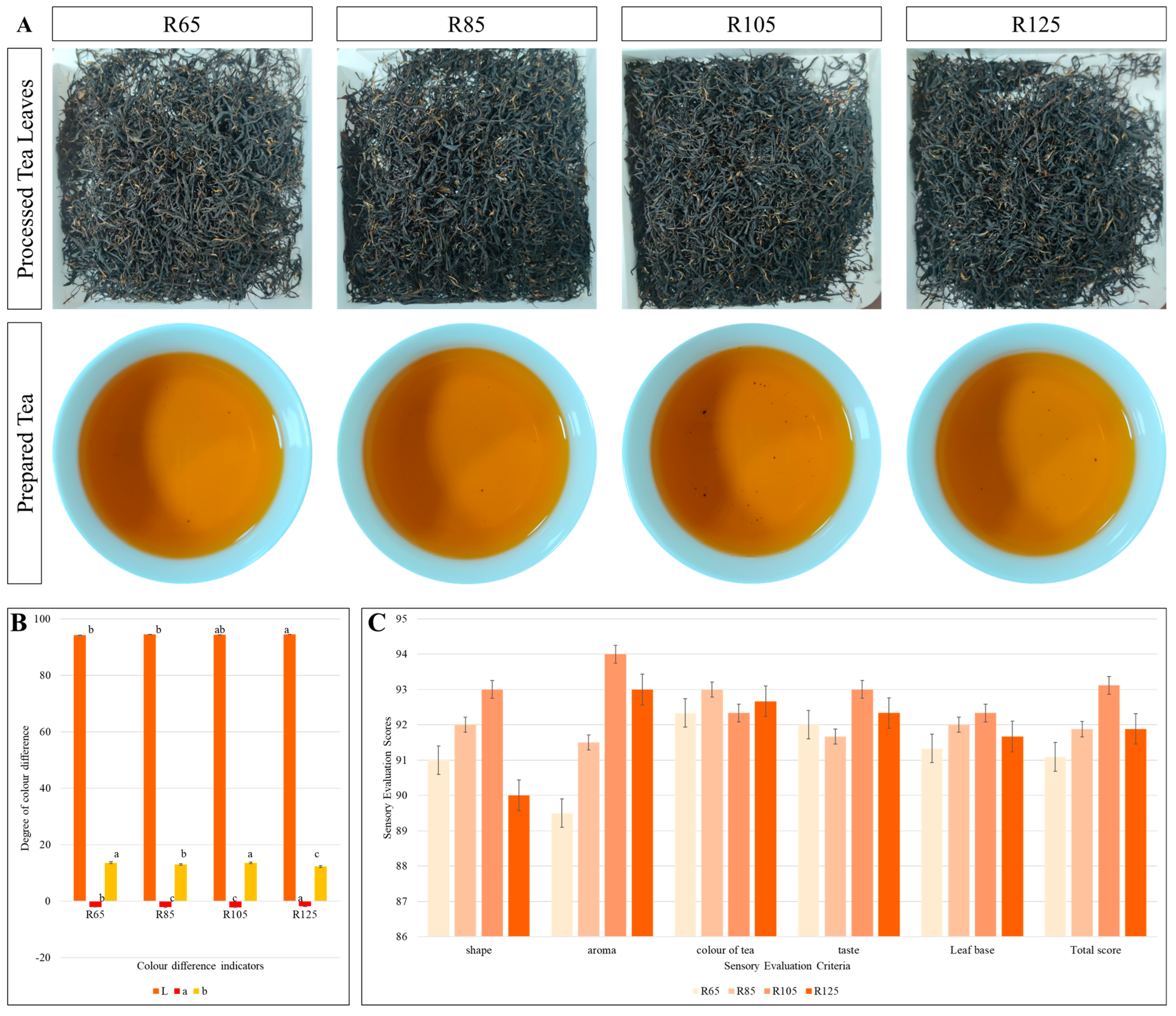 Metabolites 15 00074 g001