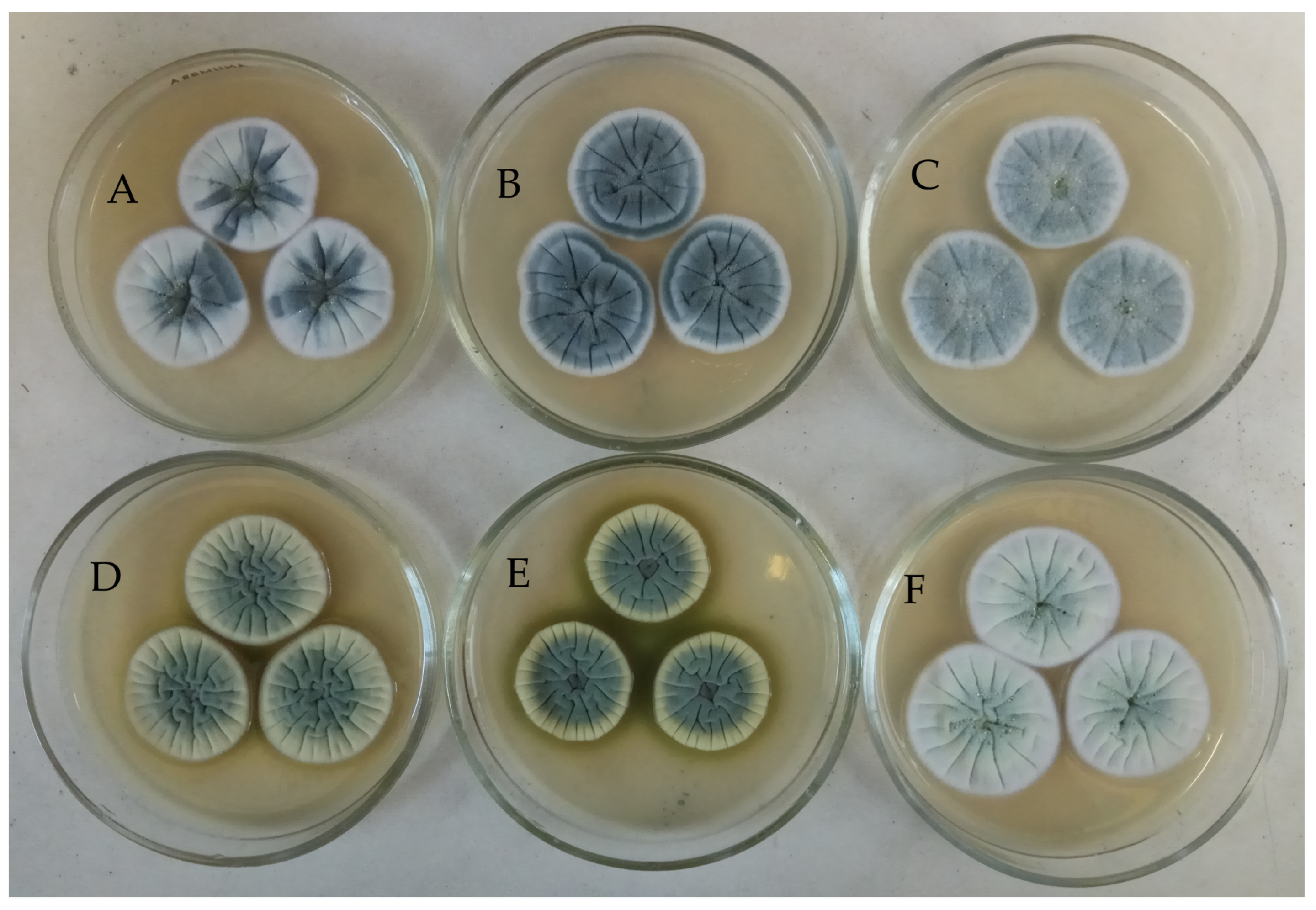 Metabolites 15 00077 g001 Metabolites 15 00077 g001
