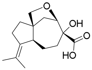 Metabolites 15 00077 i014 Metabolites 15 00077 i014