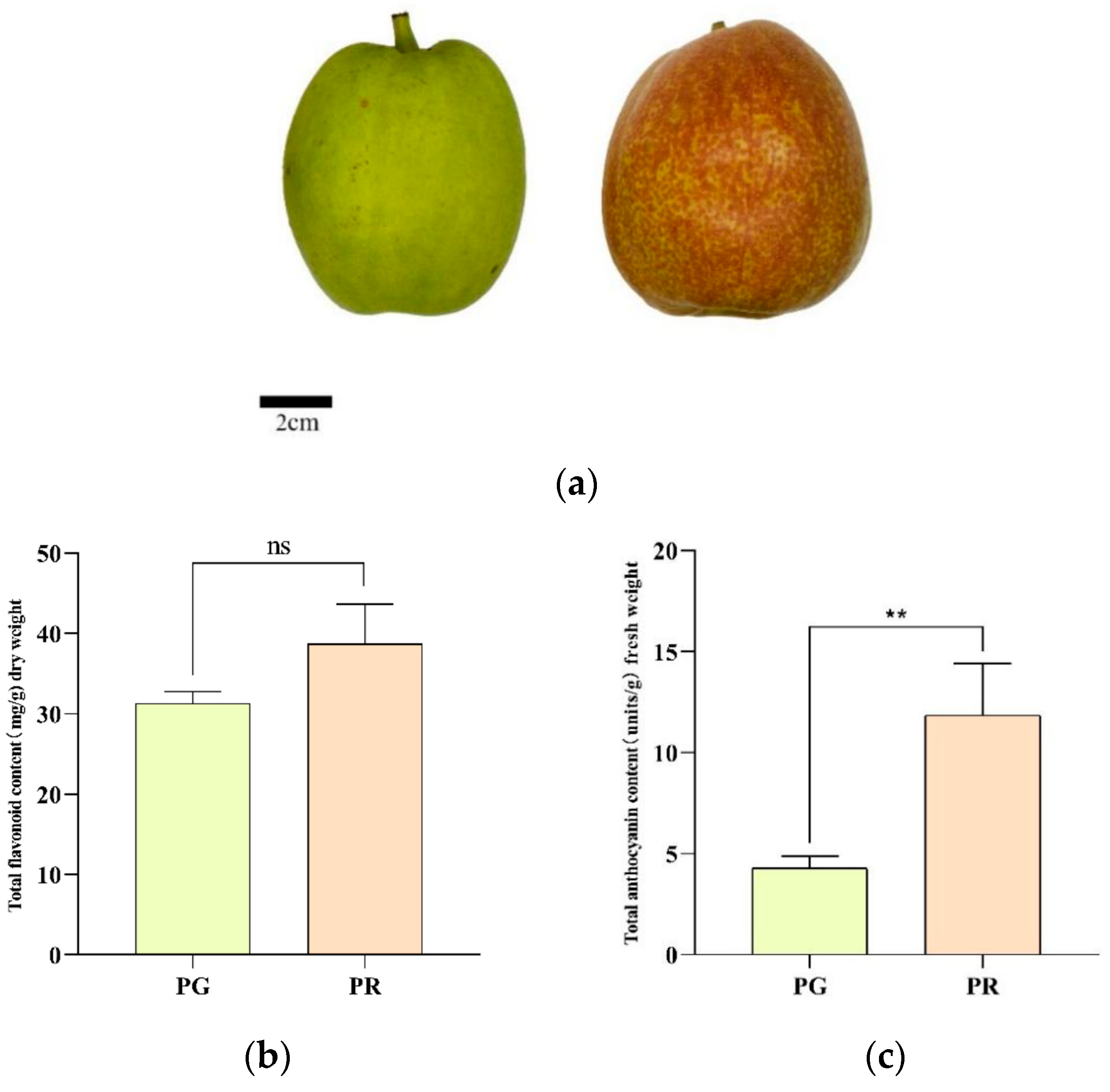 Metabolites 15 00081 g001