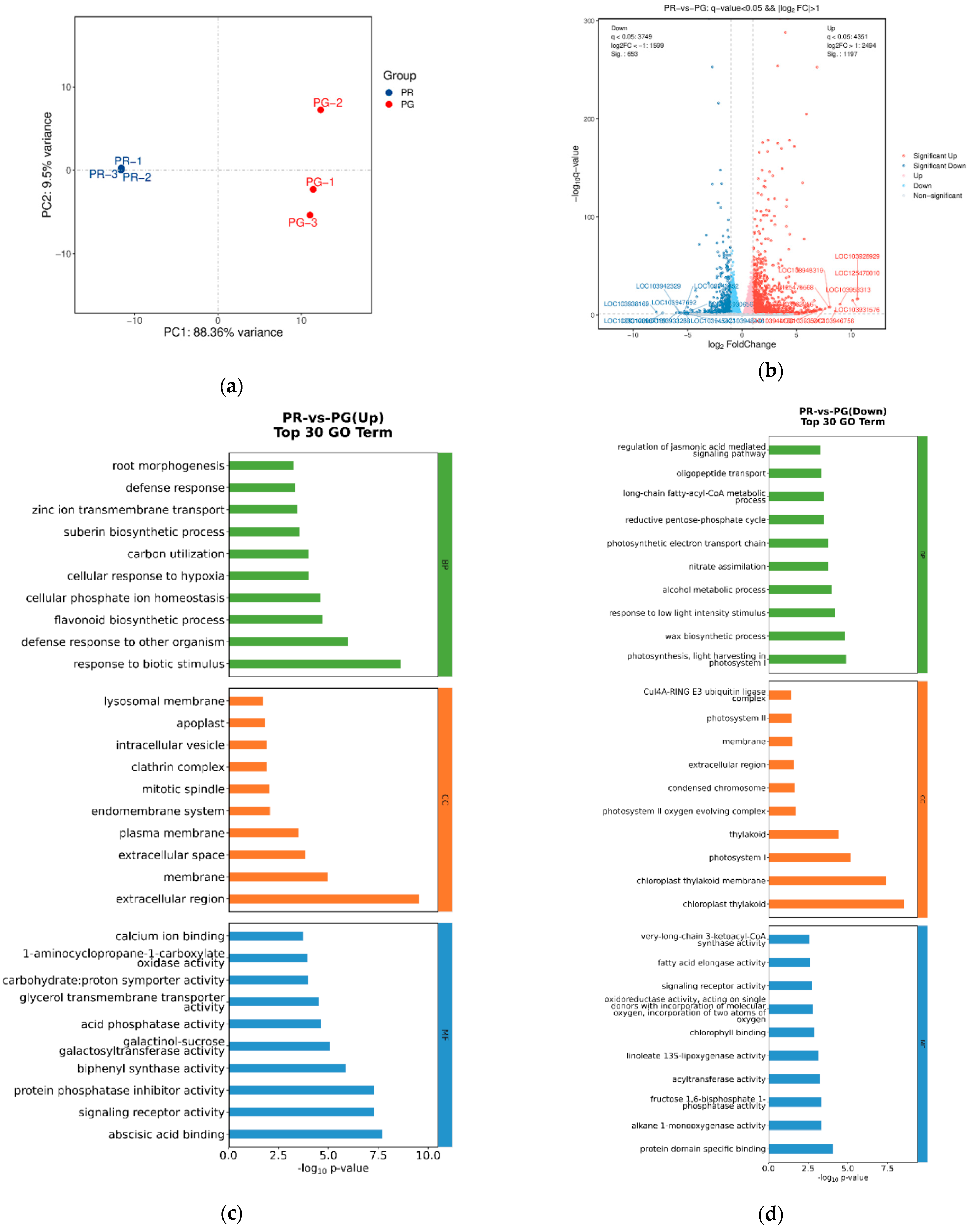 Metabolites 15 00081 g005a