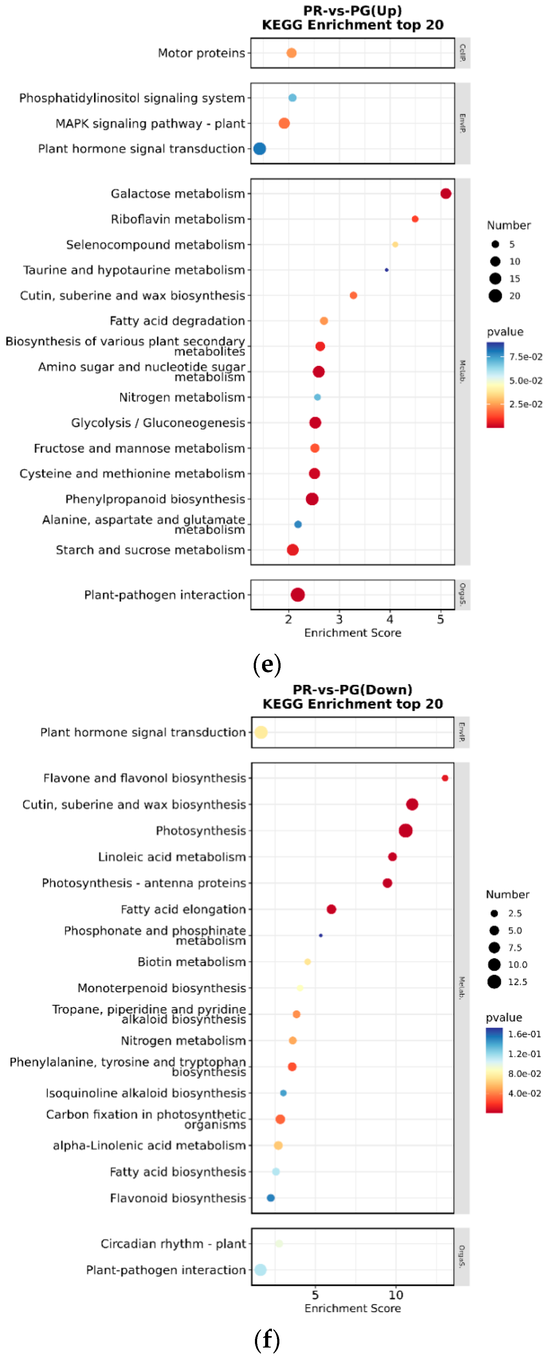 Metabolites 15 00081 g005b