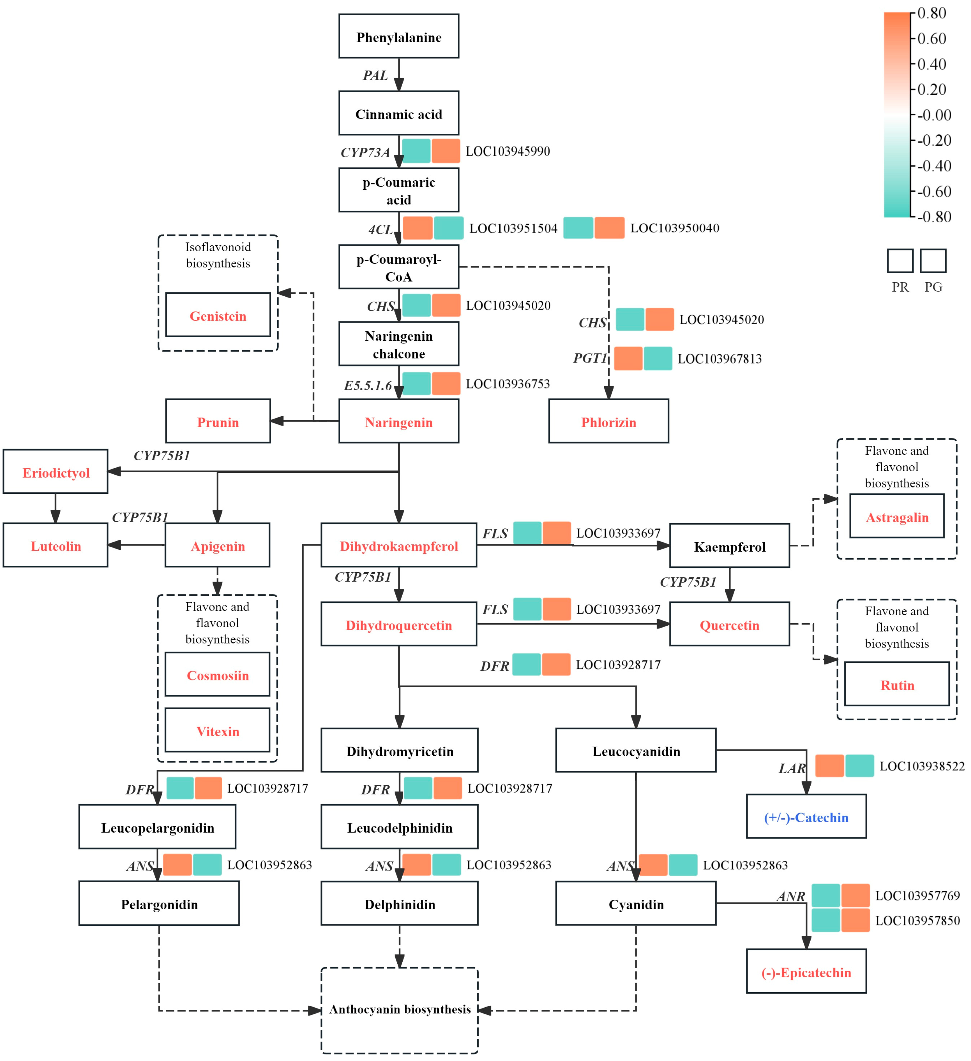 Metabolites 15 00081 g006