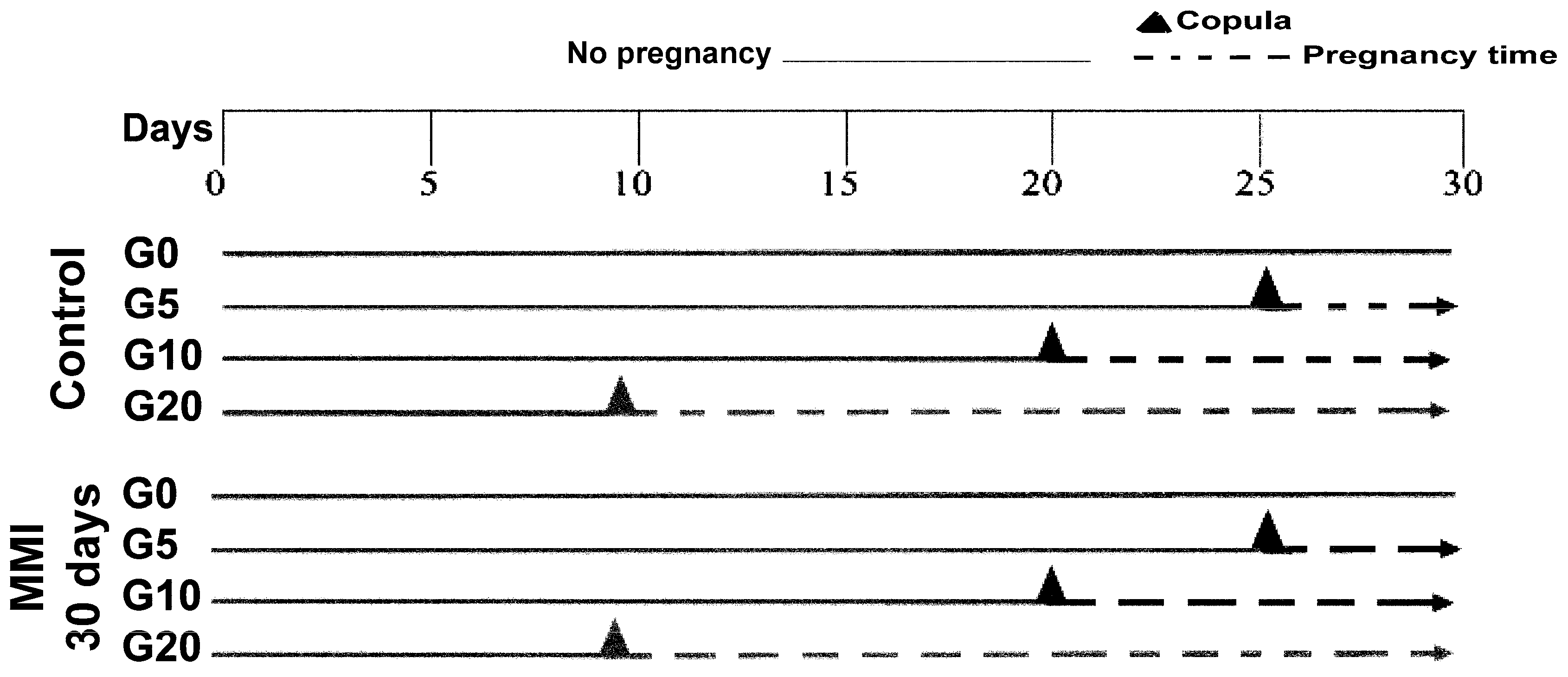 Metabolites 15 00082 g001 Metabolites 15 00082 g001