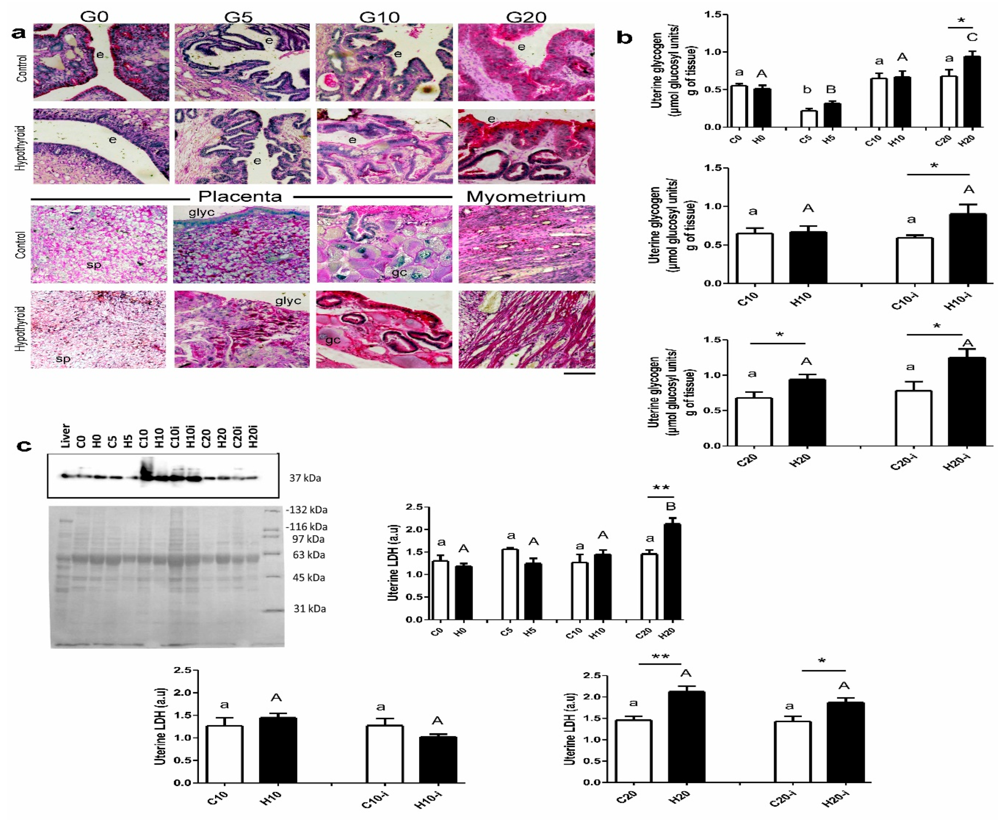 Metabolites 15 00082 g003 Metabolites 15 00082 g003