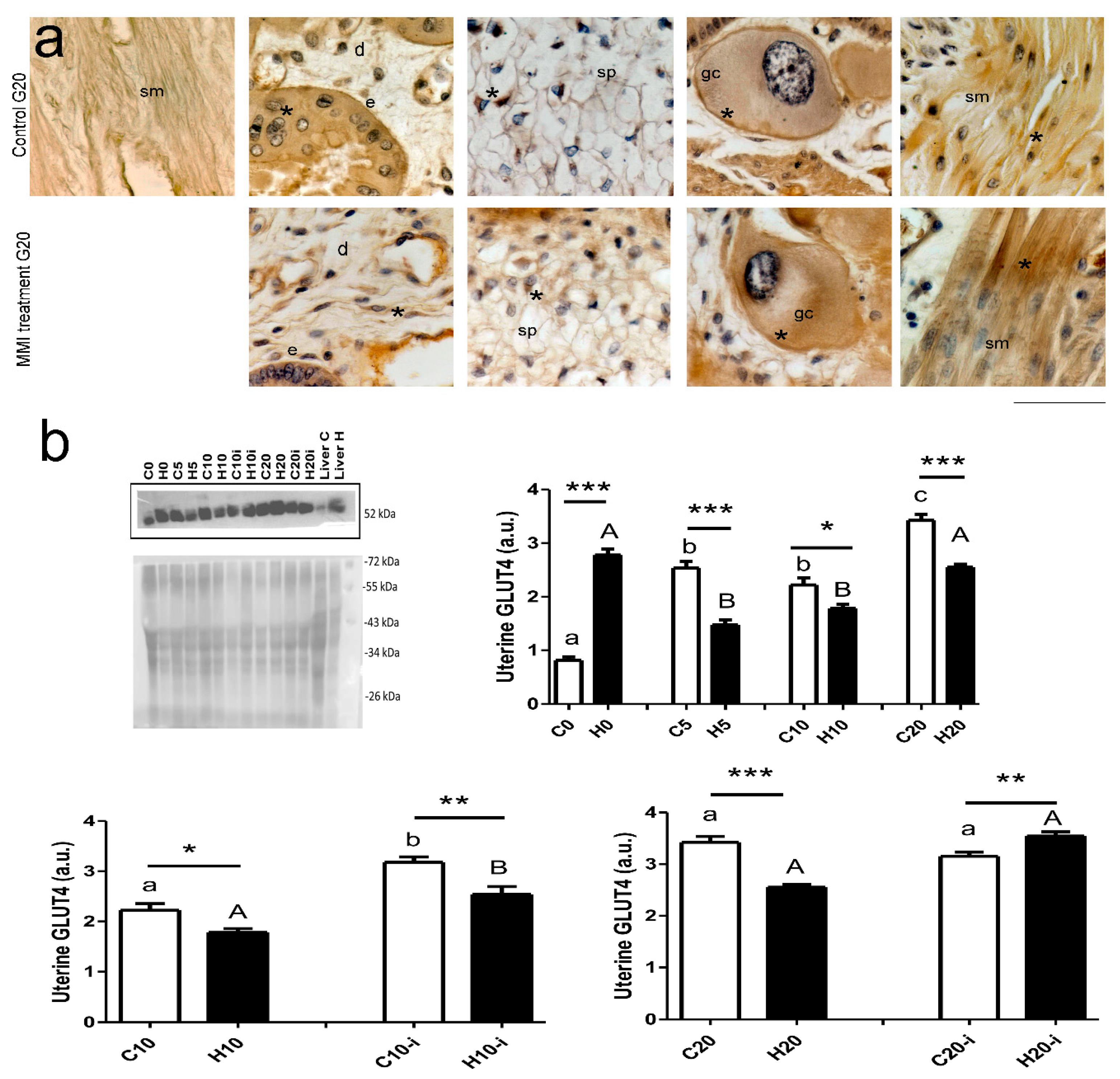 Metabolites 15 00082 g004 Metabolites 15 00082 g004