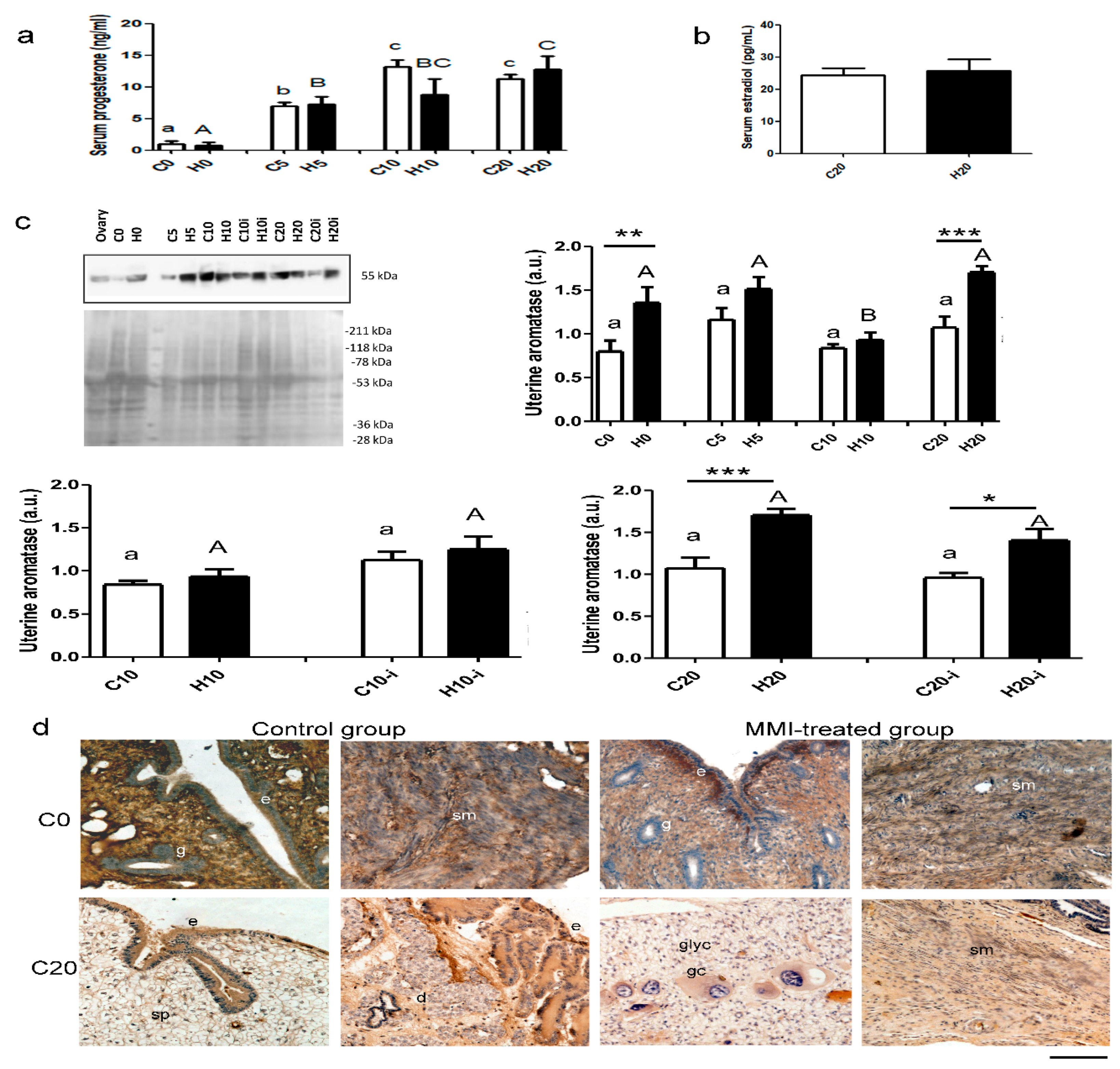 Metabolites 15 00082 g005 Metabolites 15 00082 g005