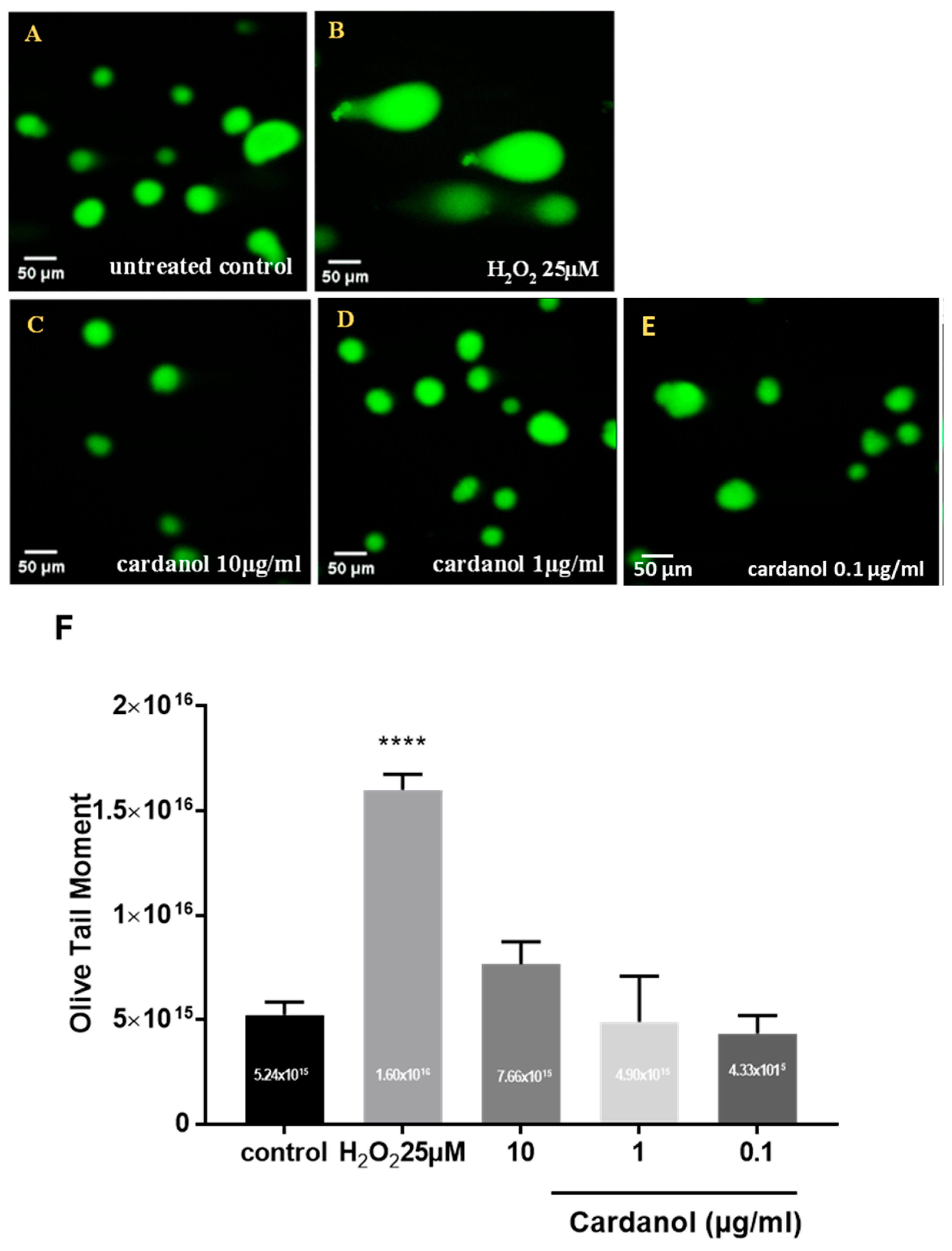 Metabolites 15 00083 g004