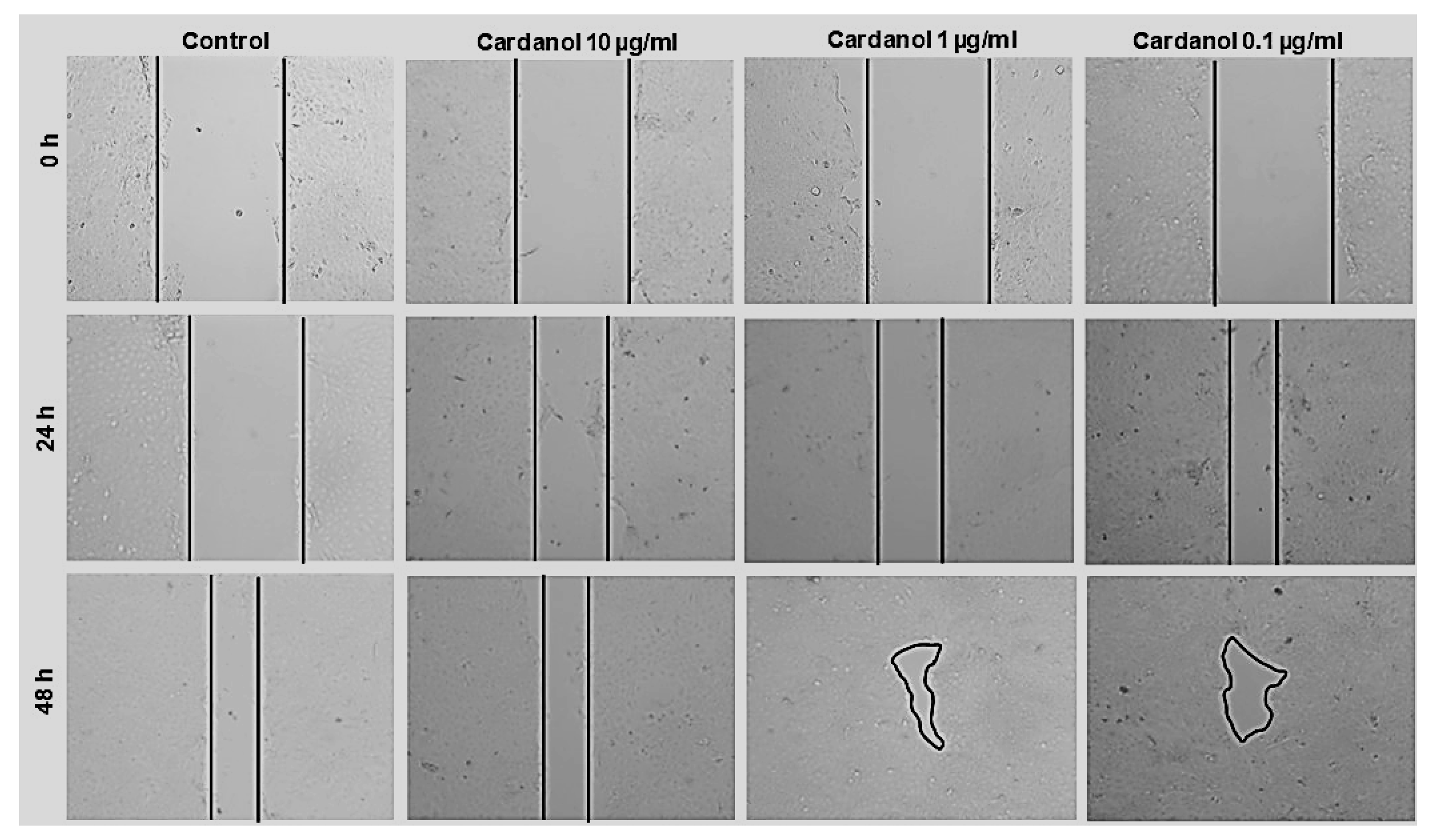 Metabolites 15 00083 g006