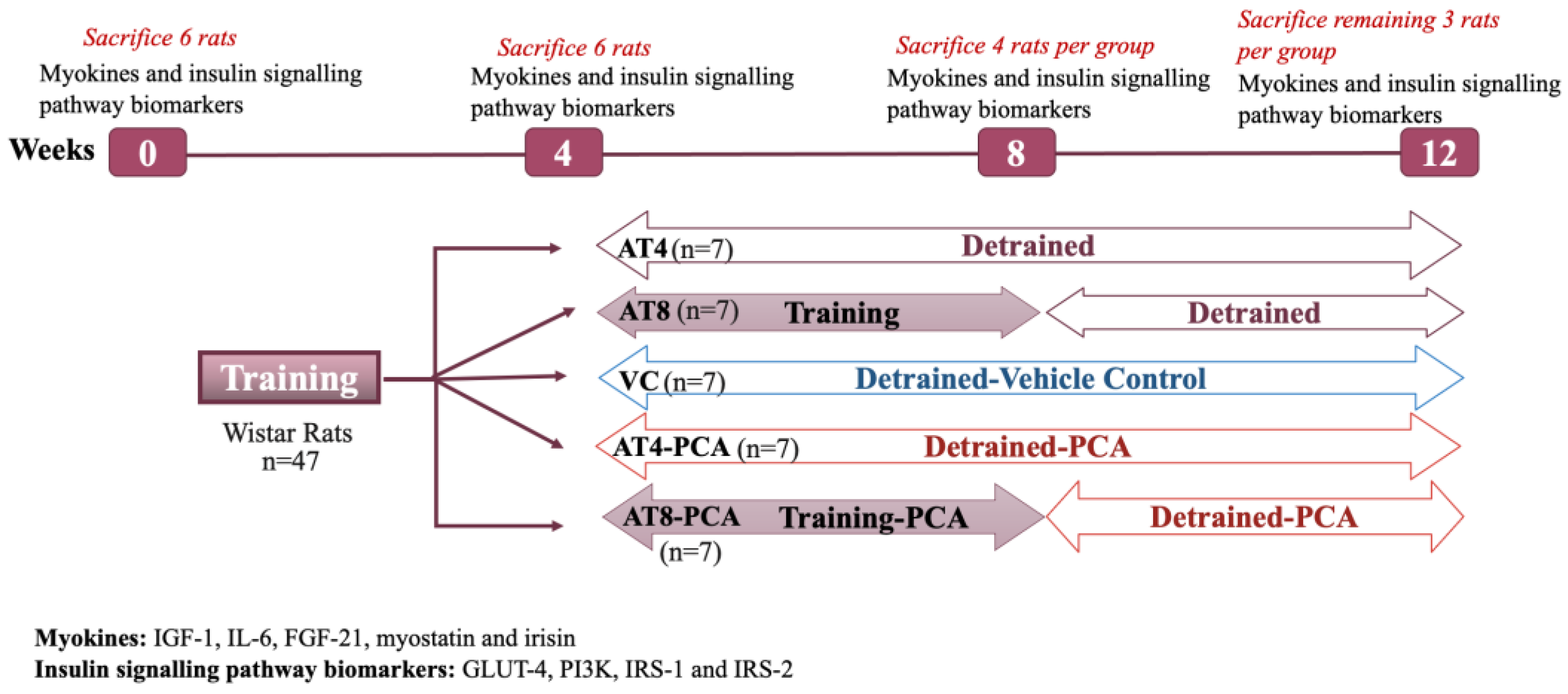 Metabolites 15 00087 g001 Metabolites 15 00087 g001