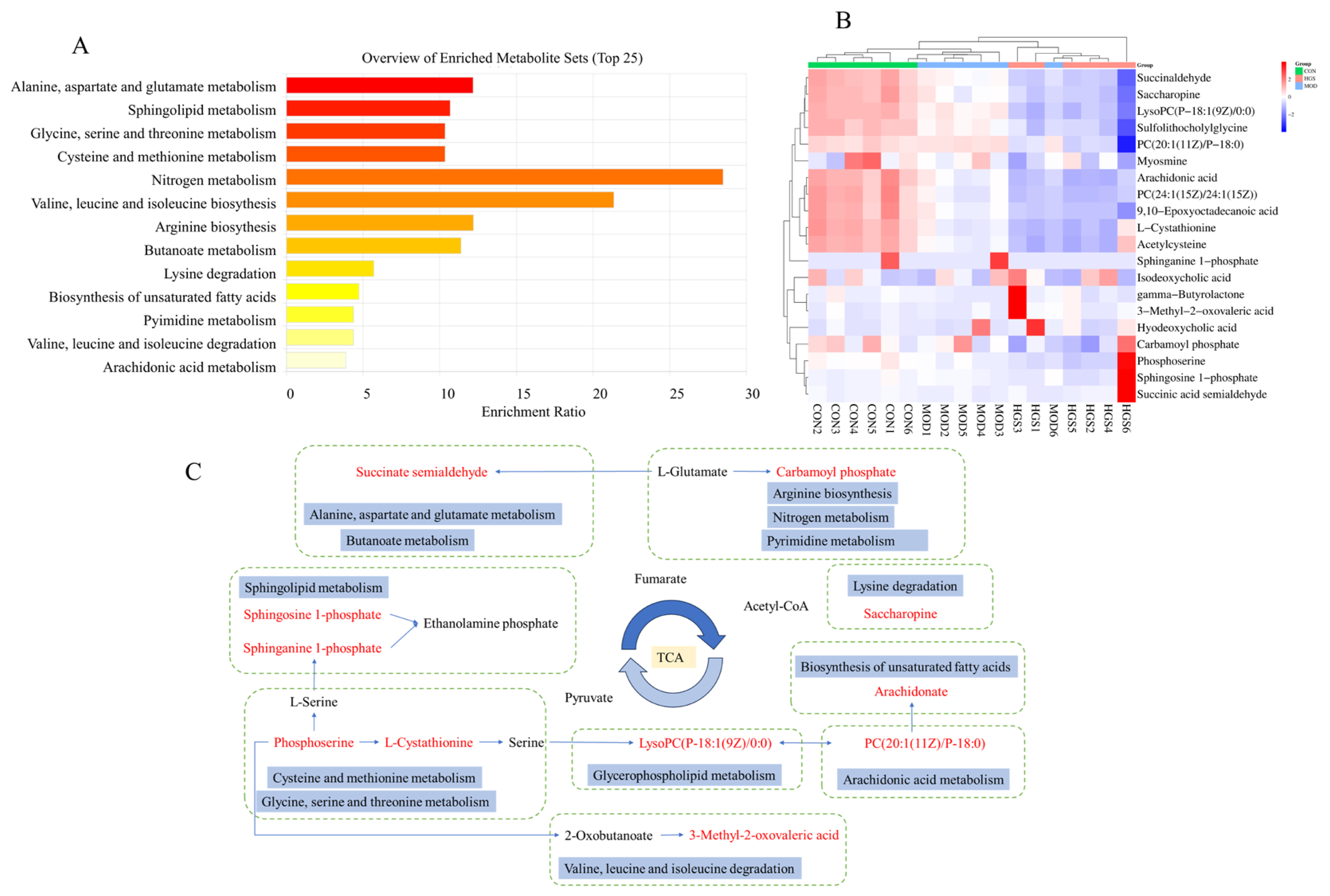 Metabolites 15 00093 g004