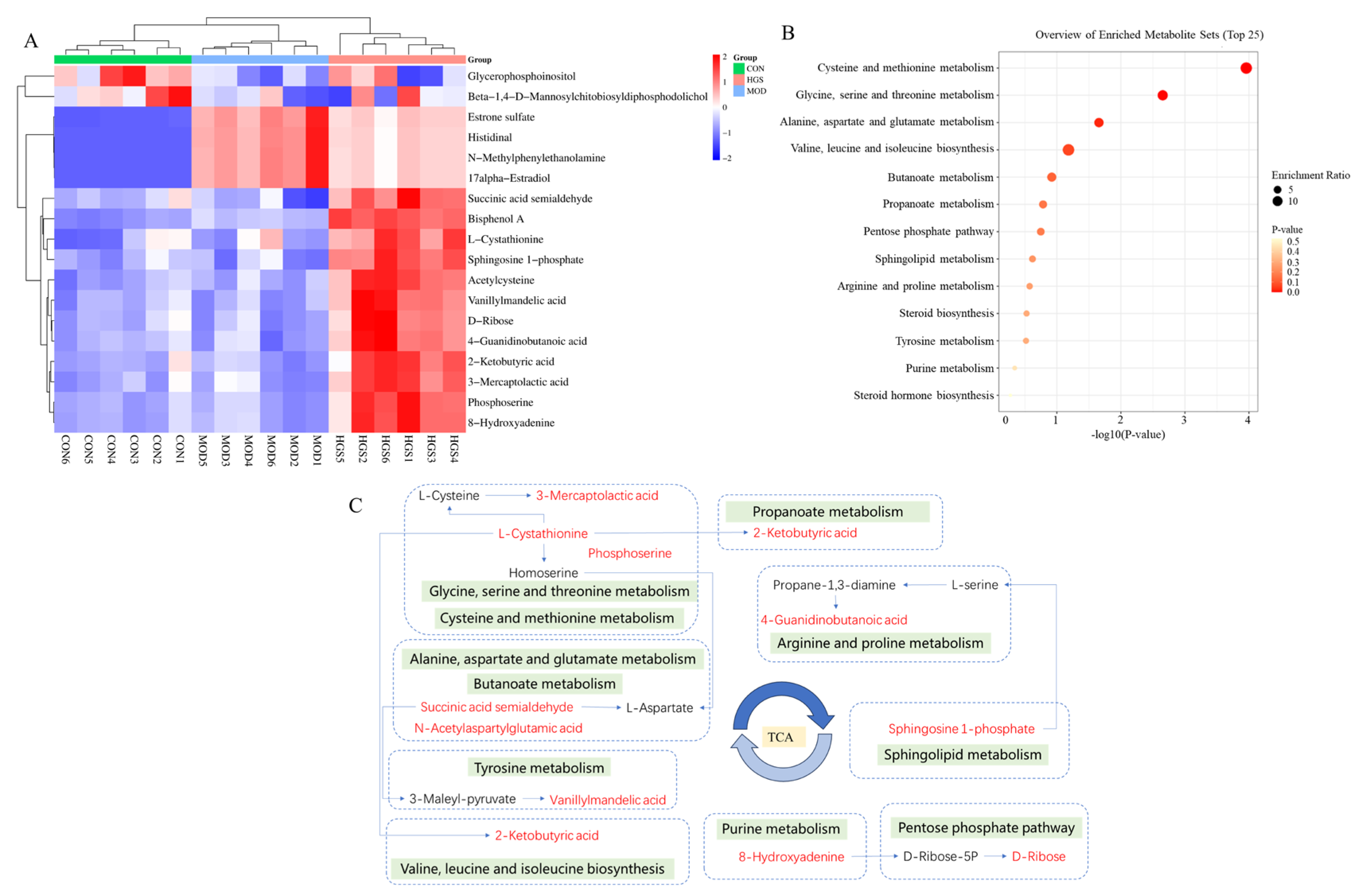 Metabolites 15 00093 g006